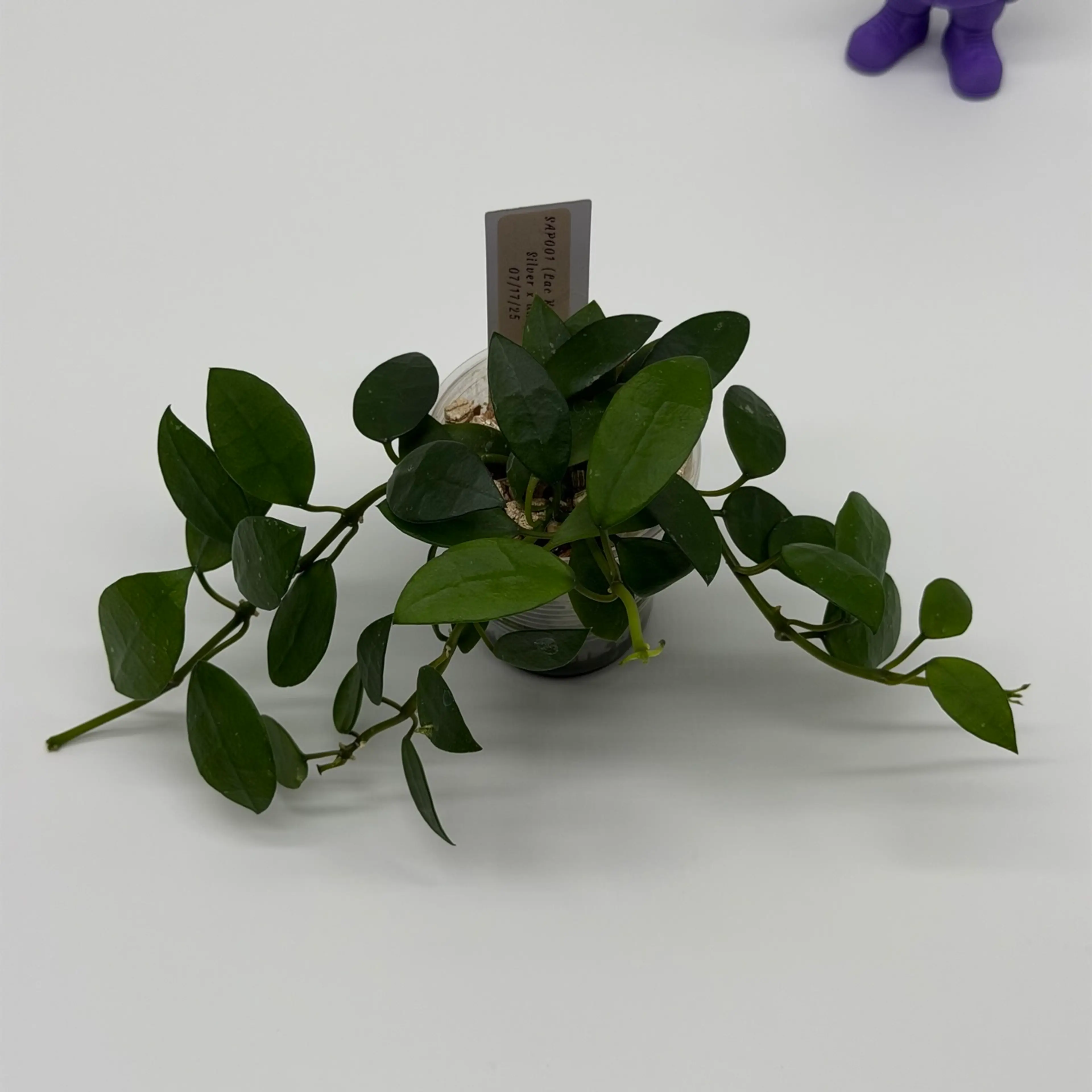 Image 2 of 2