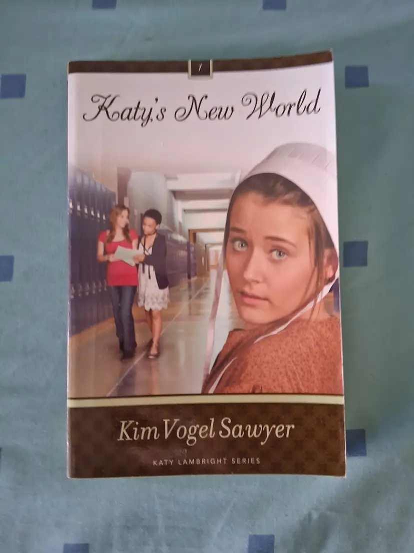 Christian Amish Fiction Book by Kim Vogel Sawyer