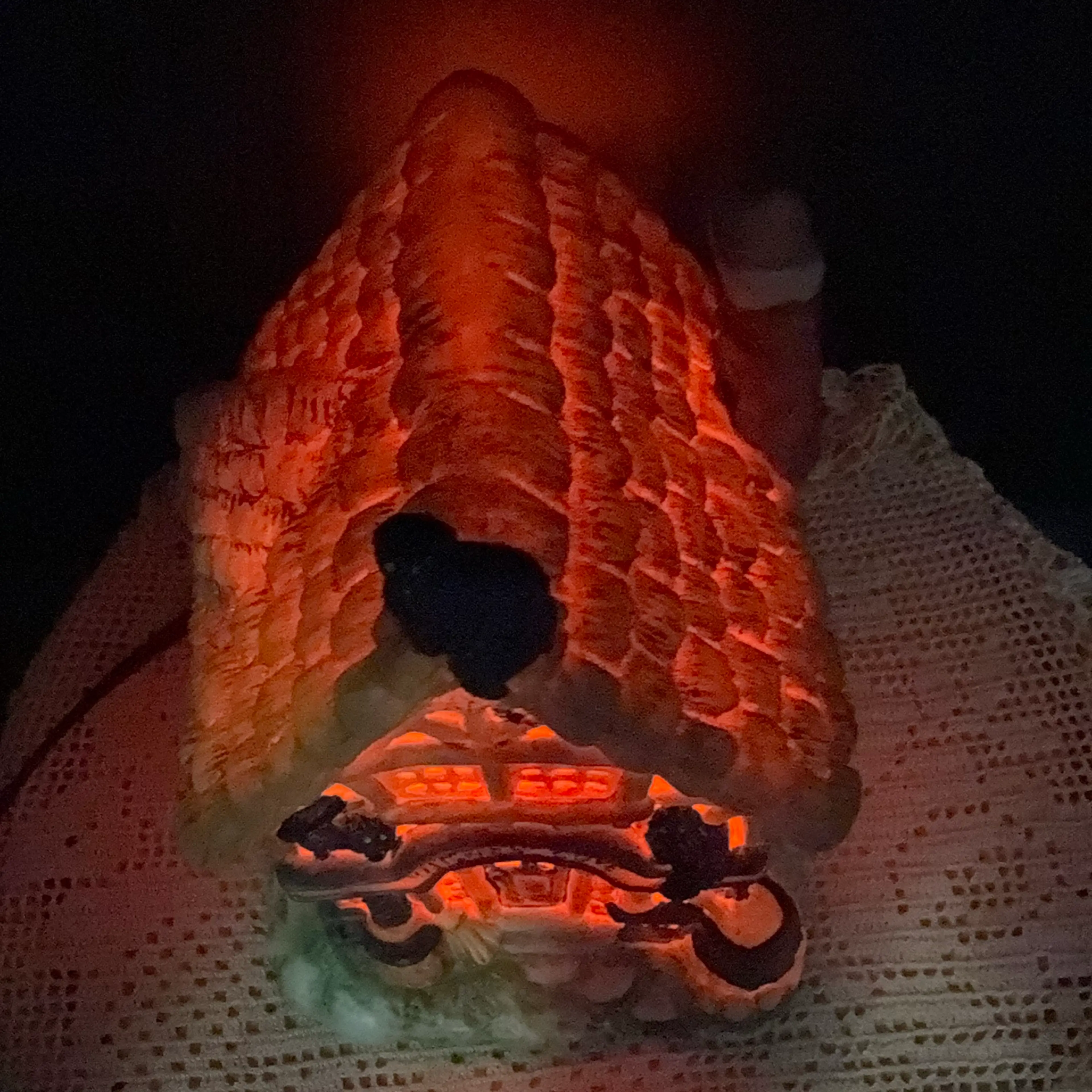 Image 2 of 13
