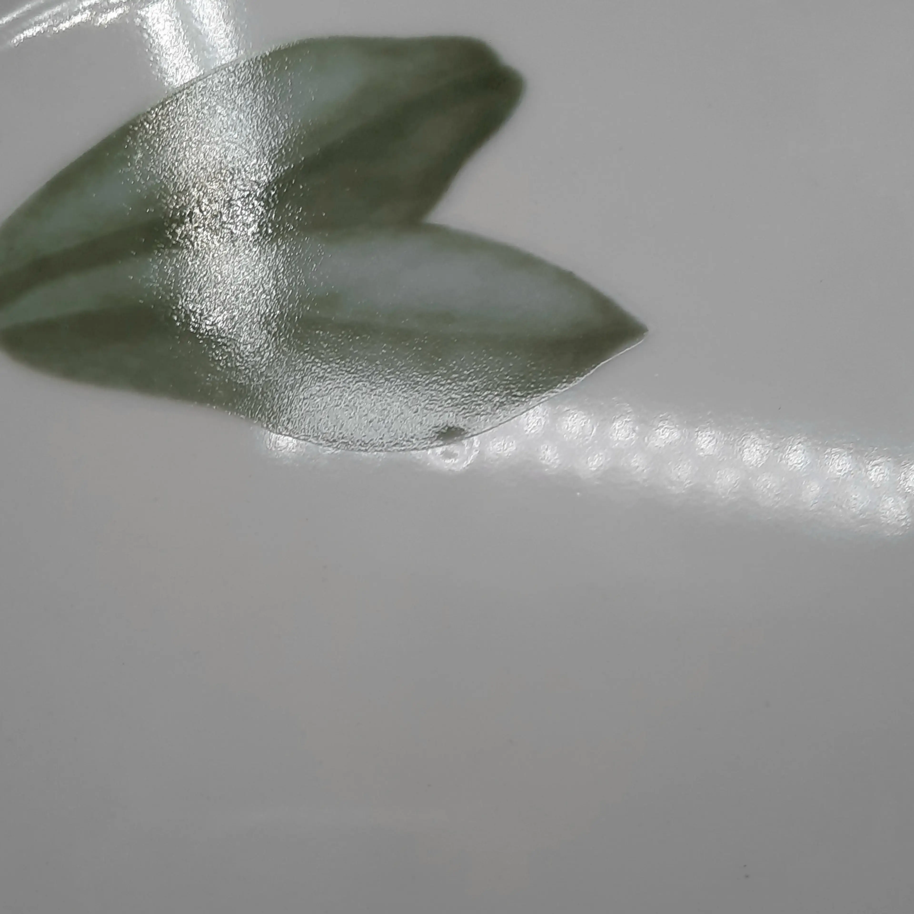 Image 5 of 5