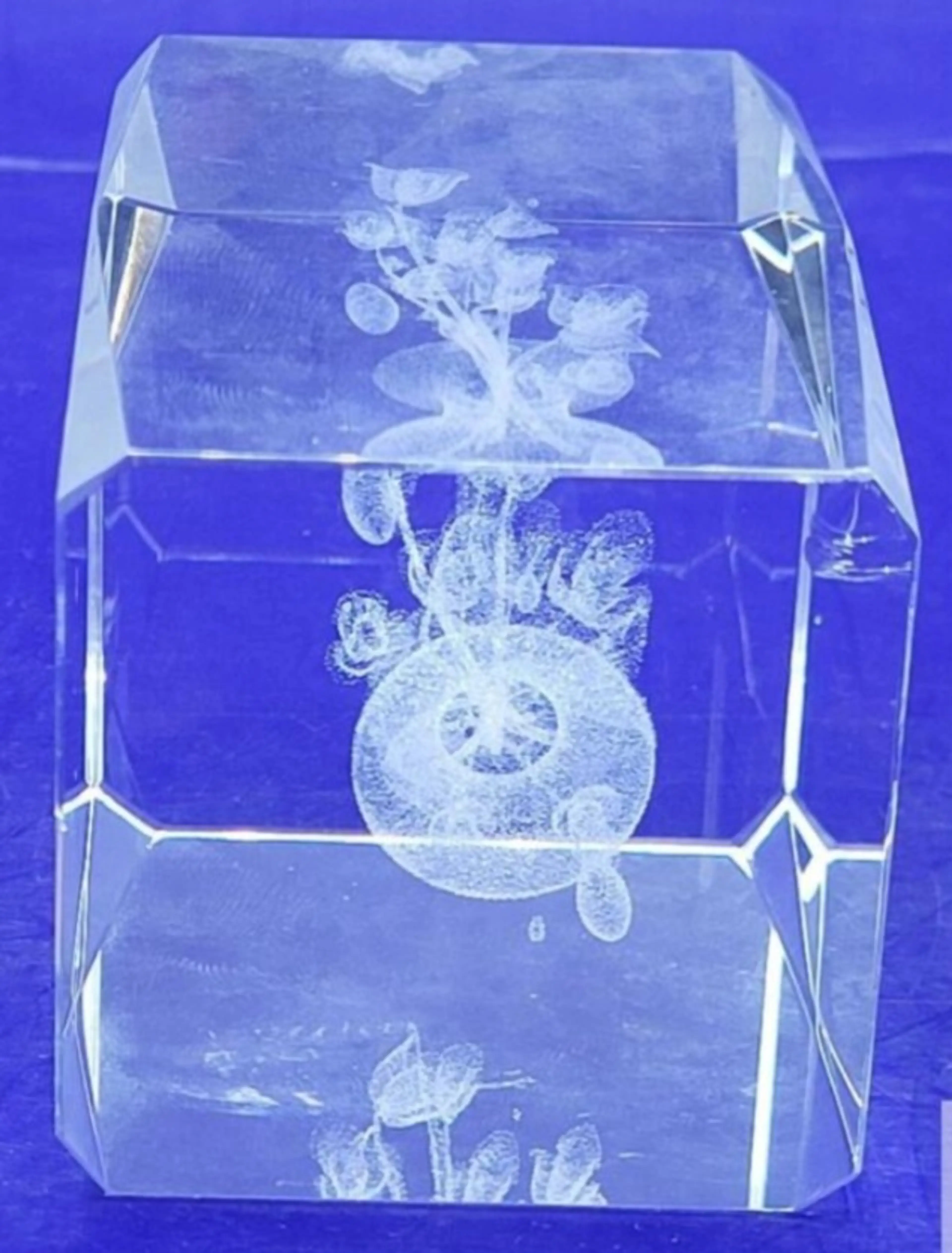 Image 4 of 4