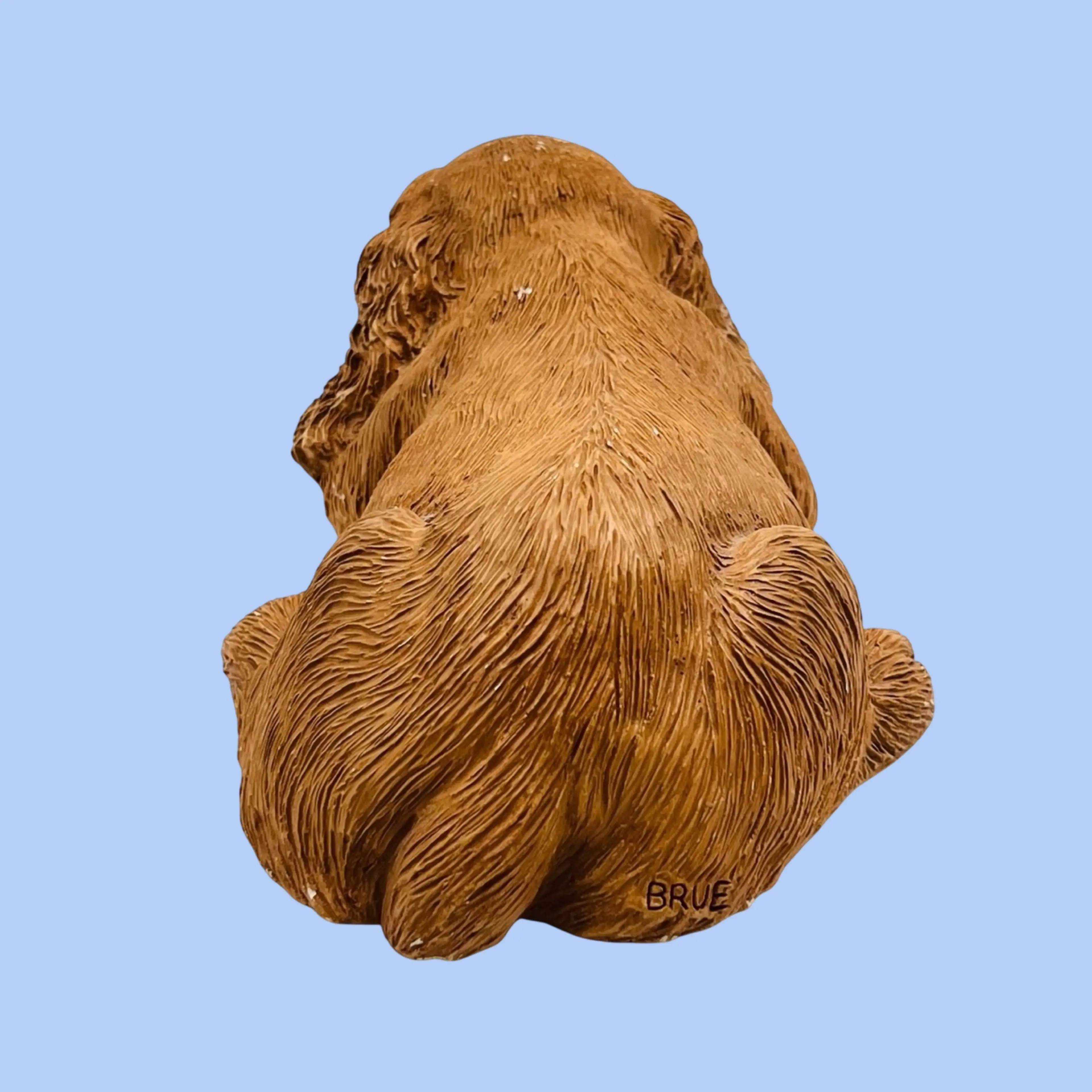 Image 5 of 12