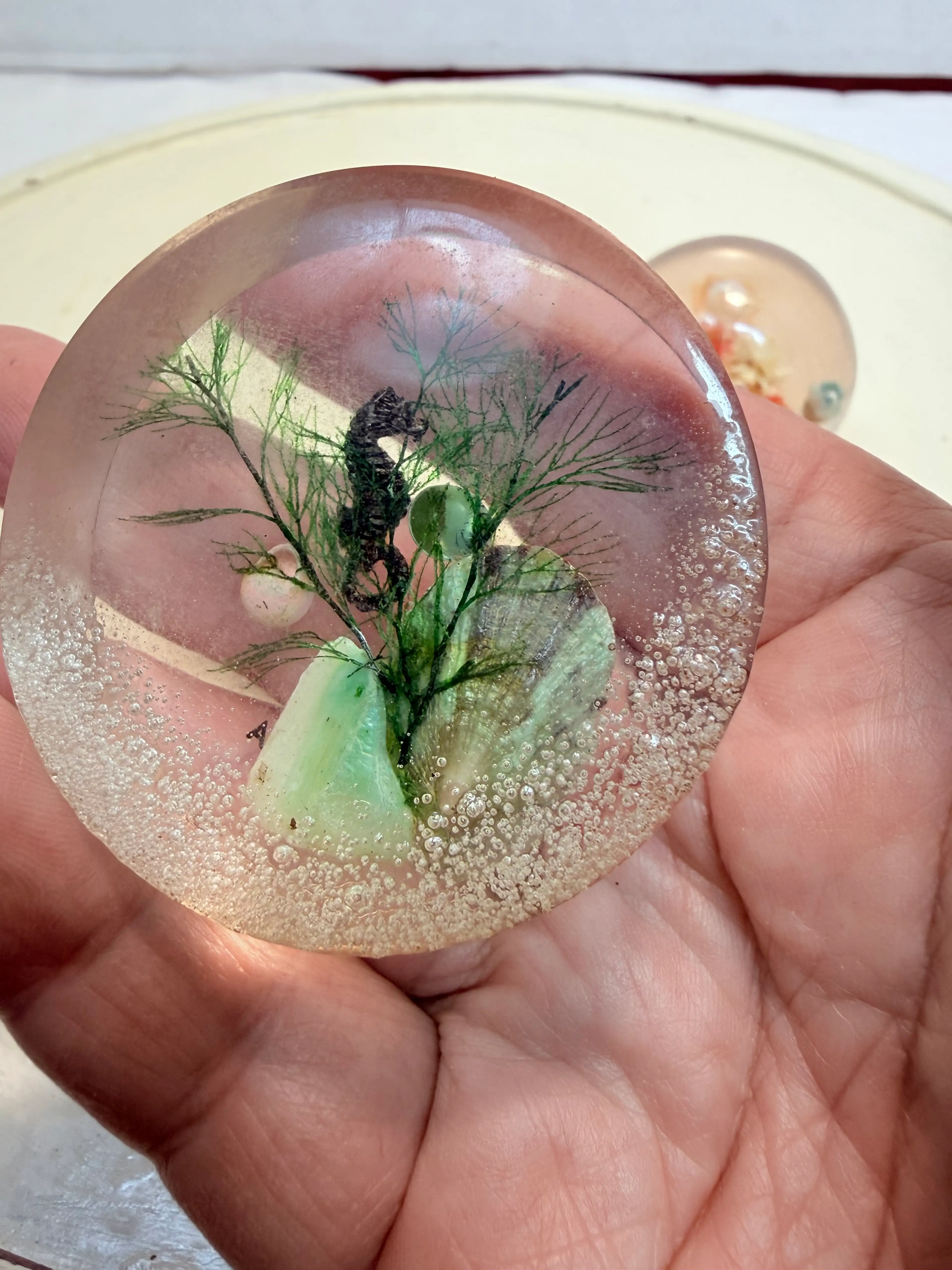 Image 2 of 5