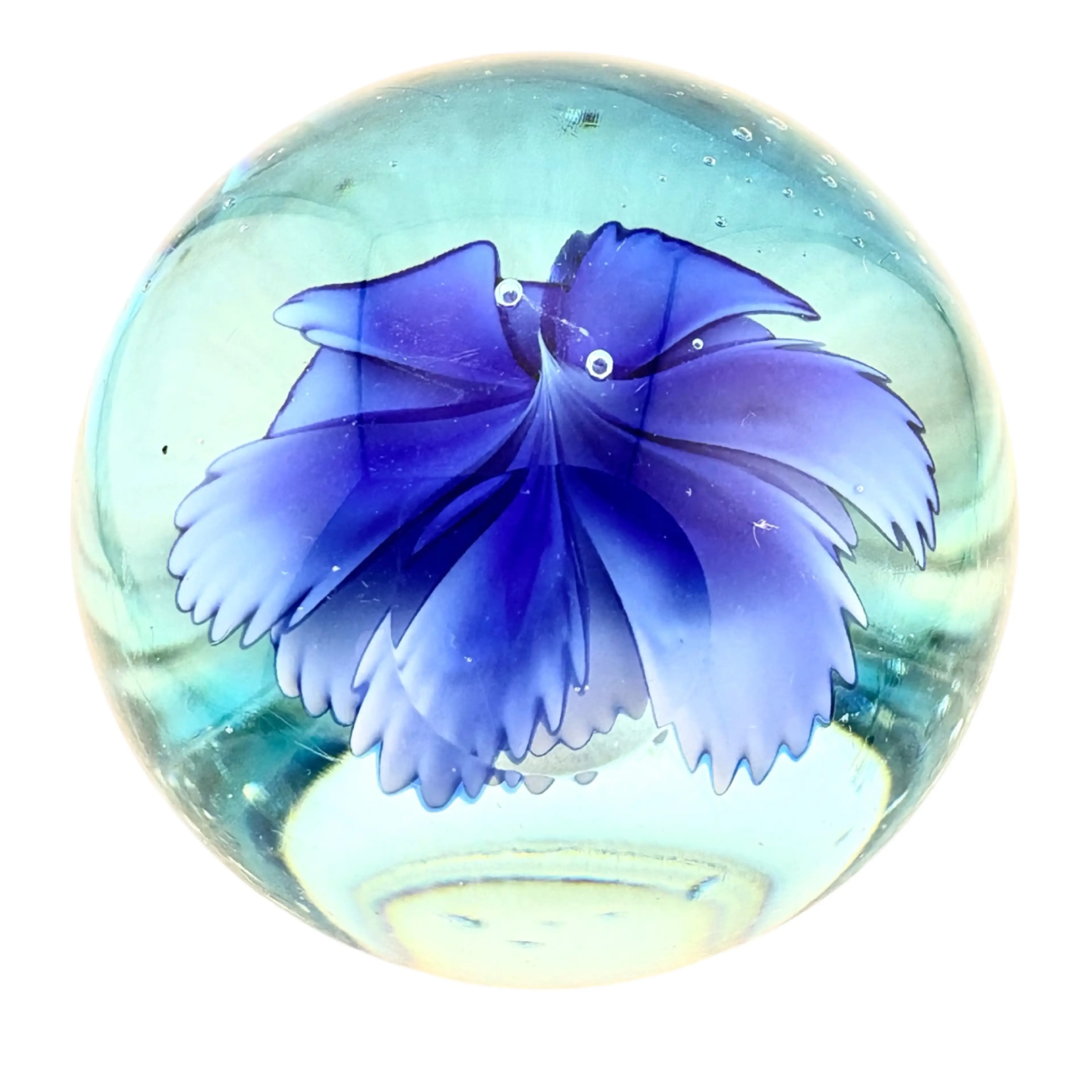 Image 4 of 12