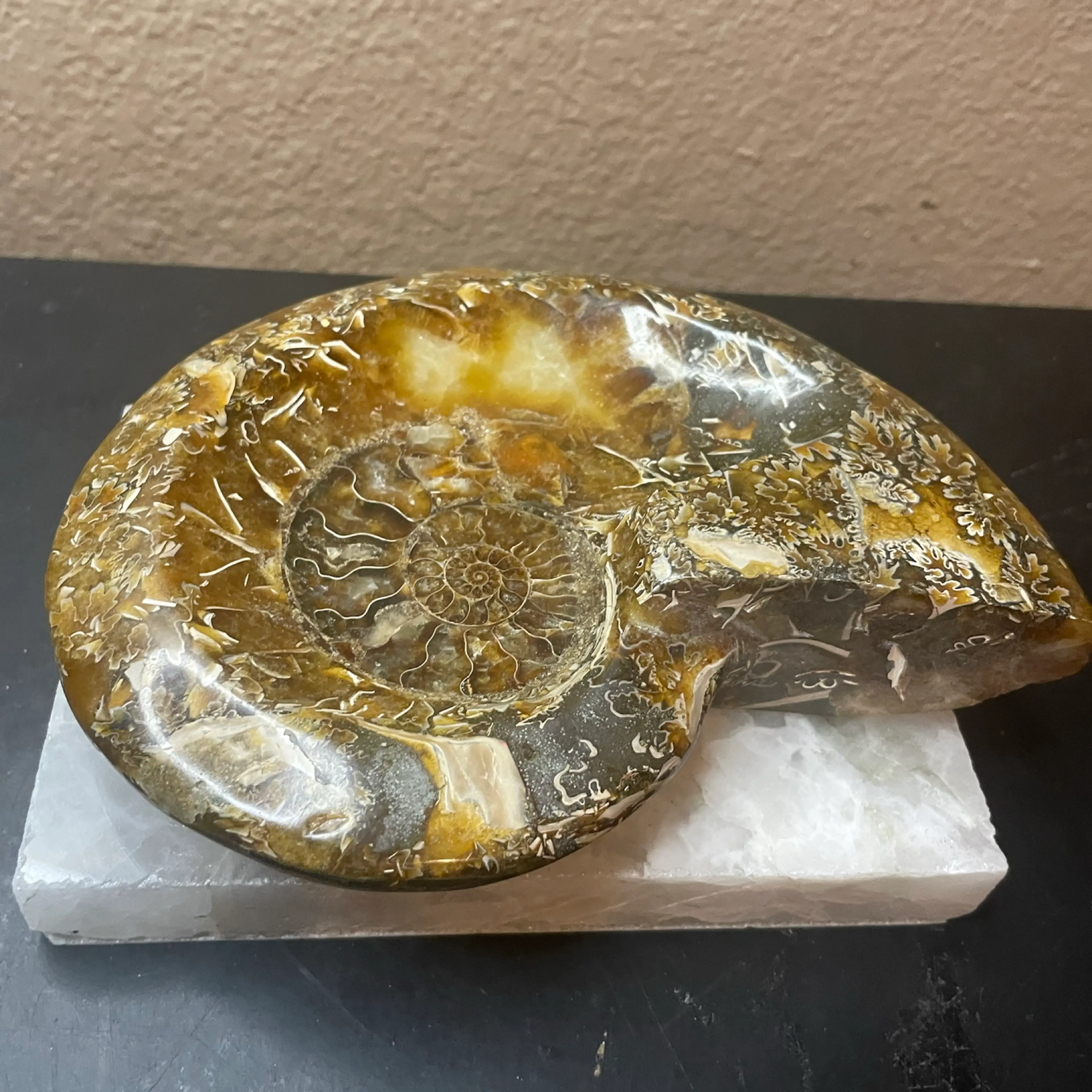 Image 5 of 6