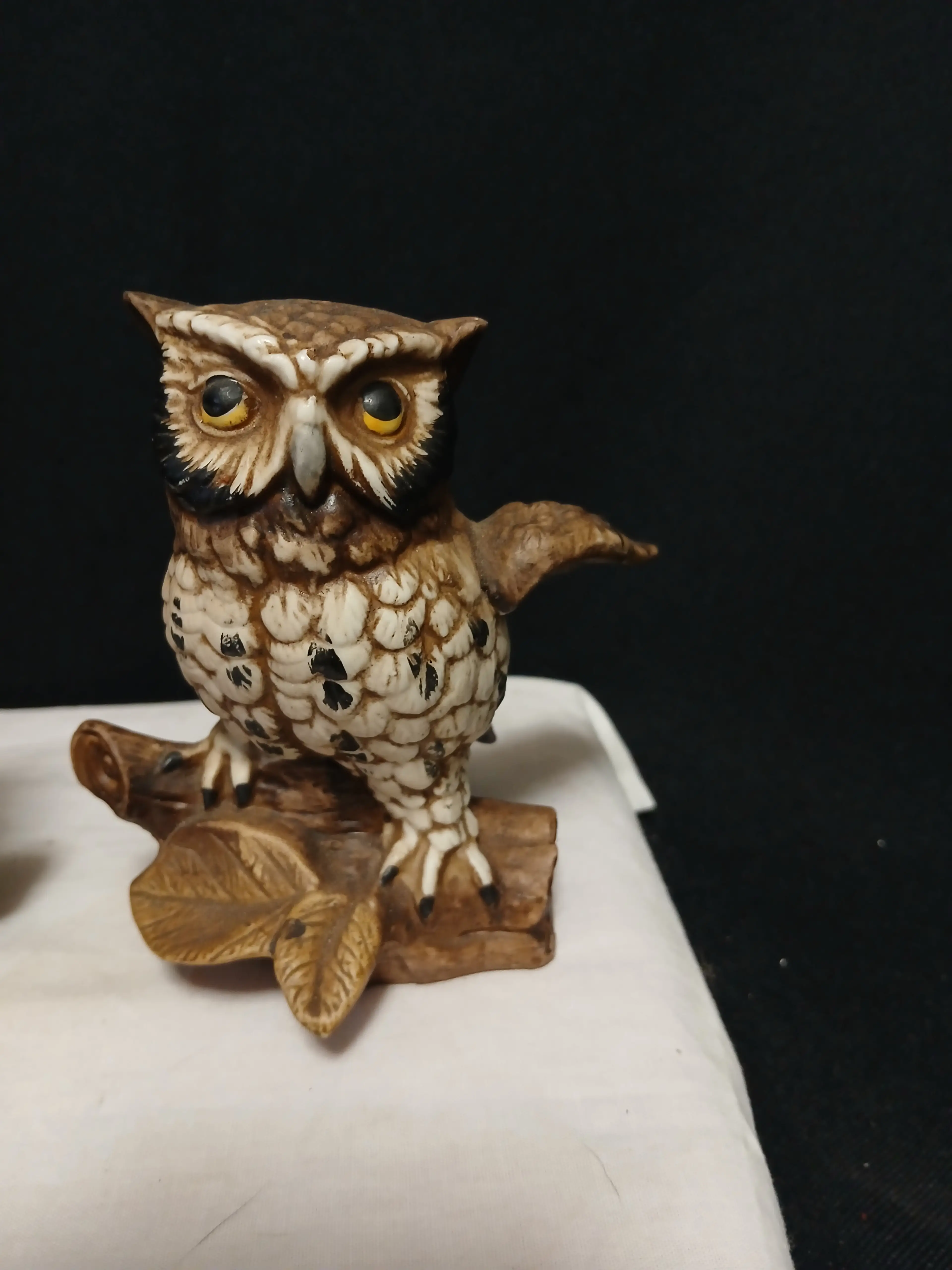 Image 4 of 11