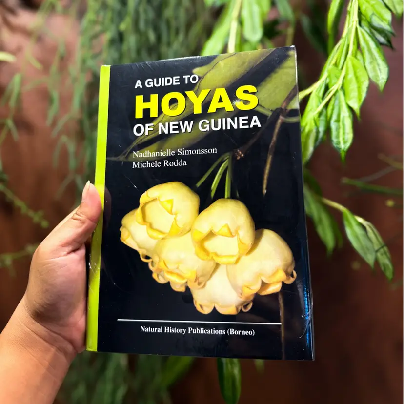 A Guide to Hoya of New Guinea (Hardcover)
