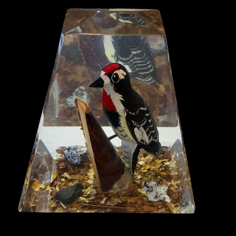 Lucite Encased Woodpecker Paperweight