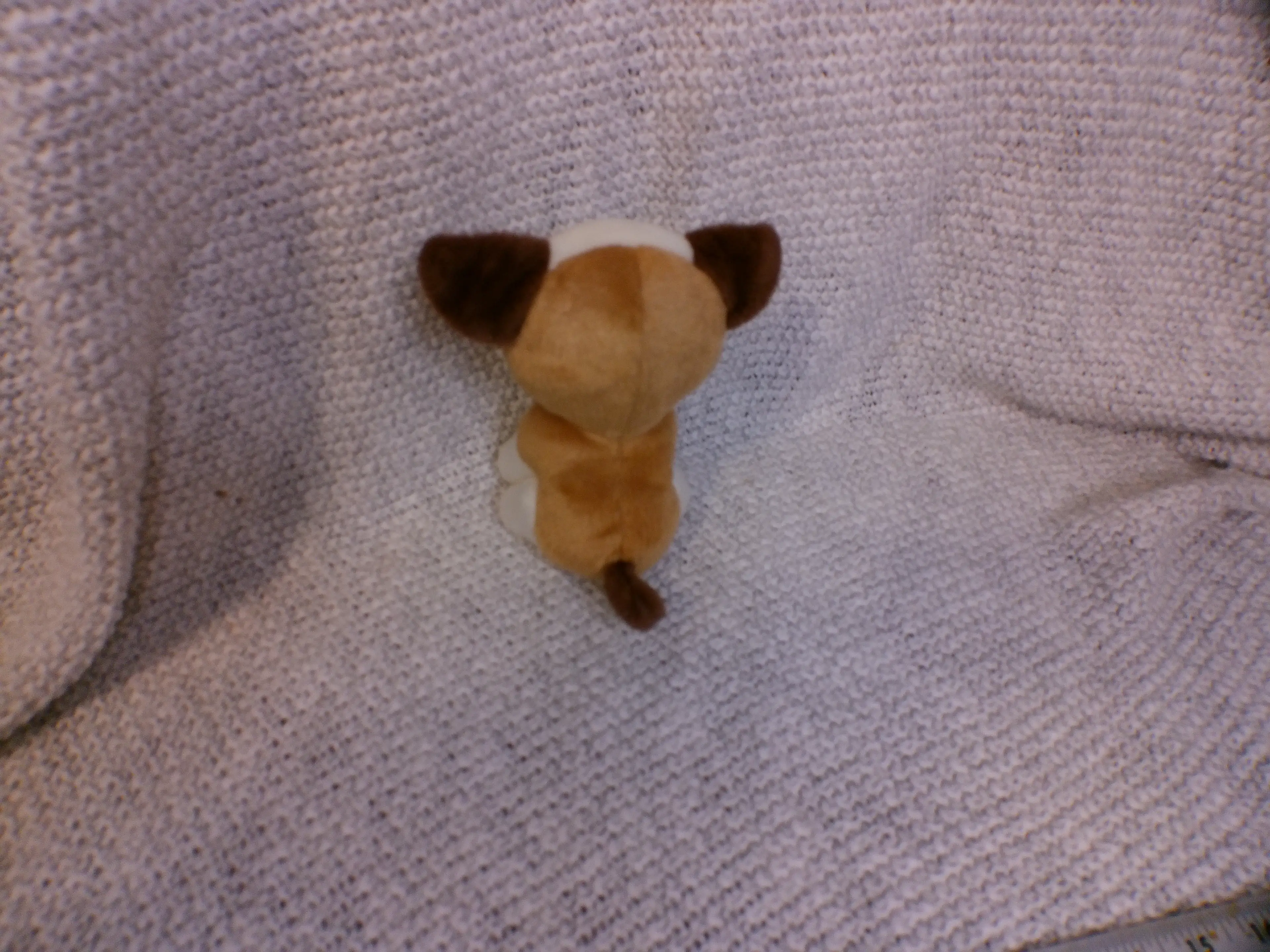Image 2 of 2