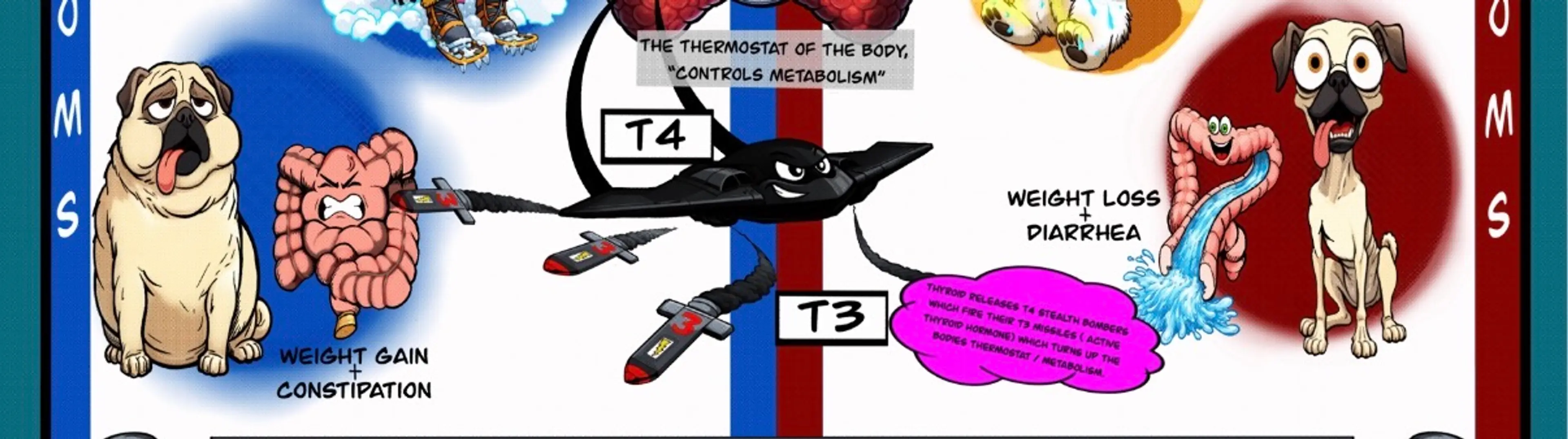 Image 3 of 5