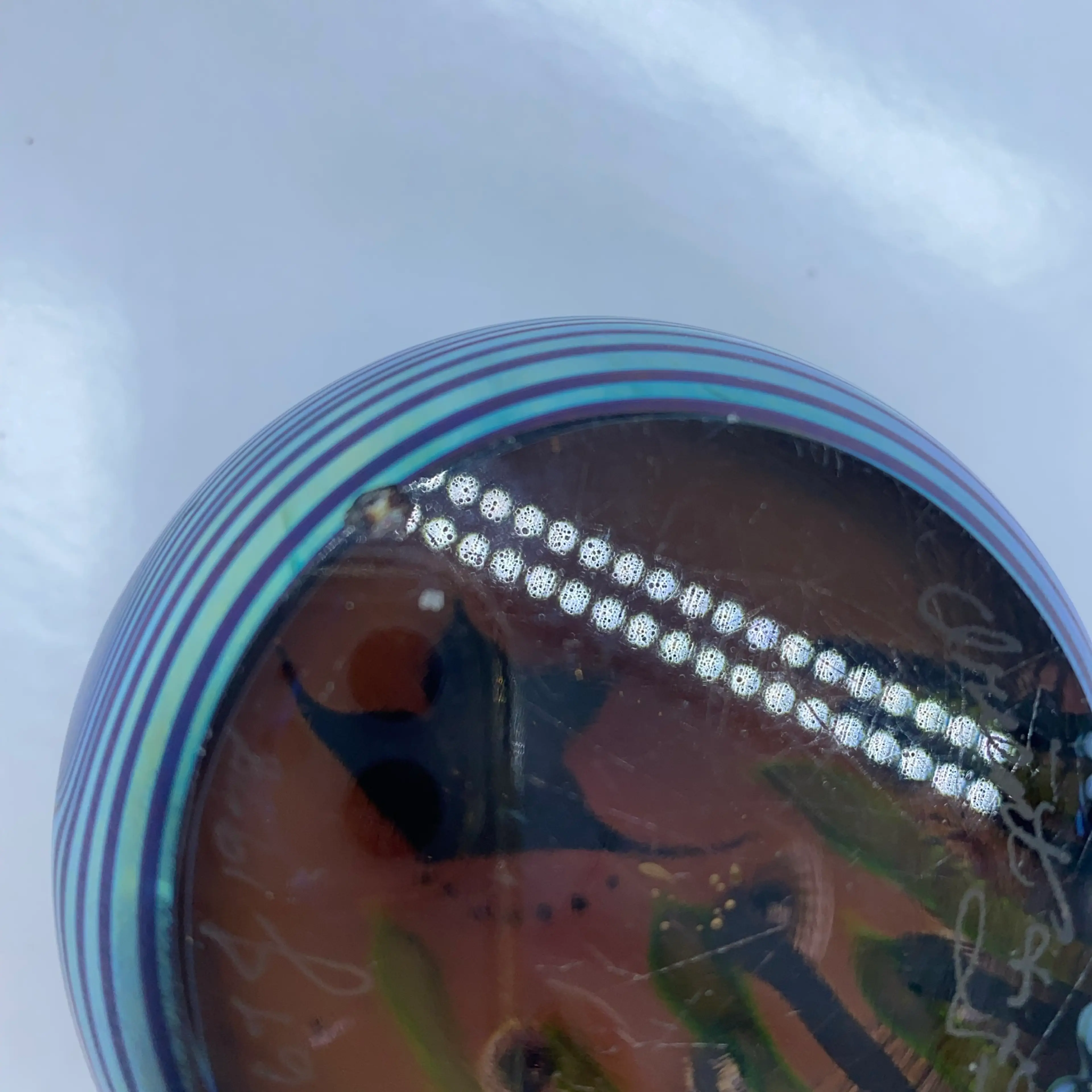 Image 4 of 6