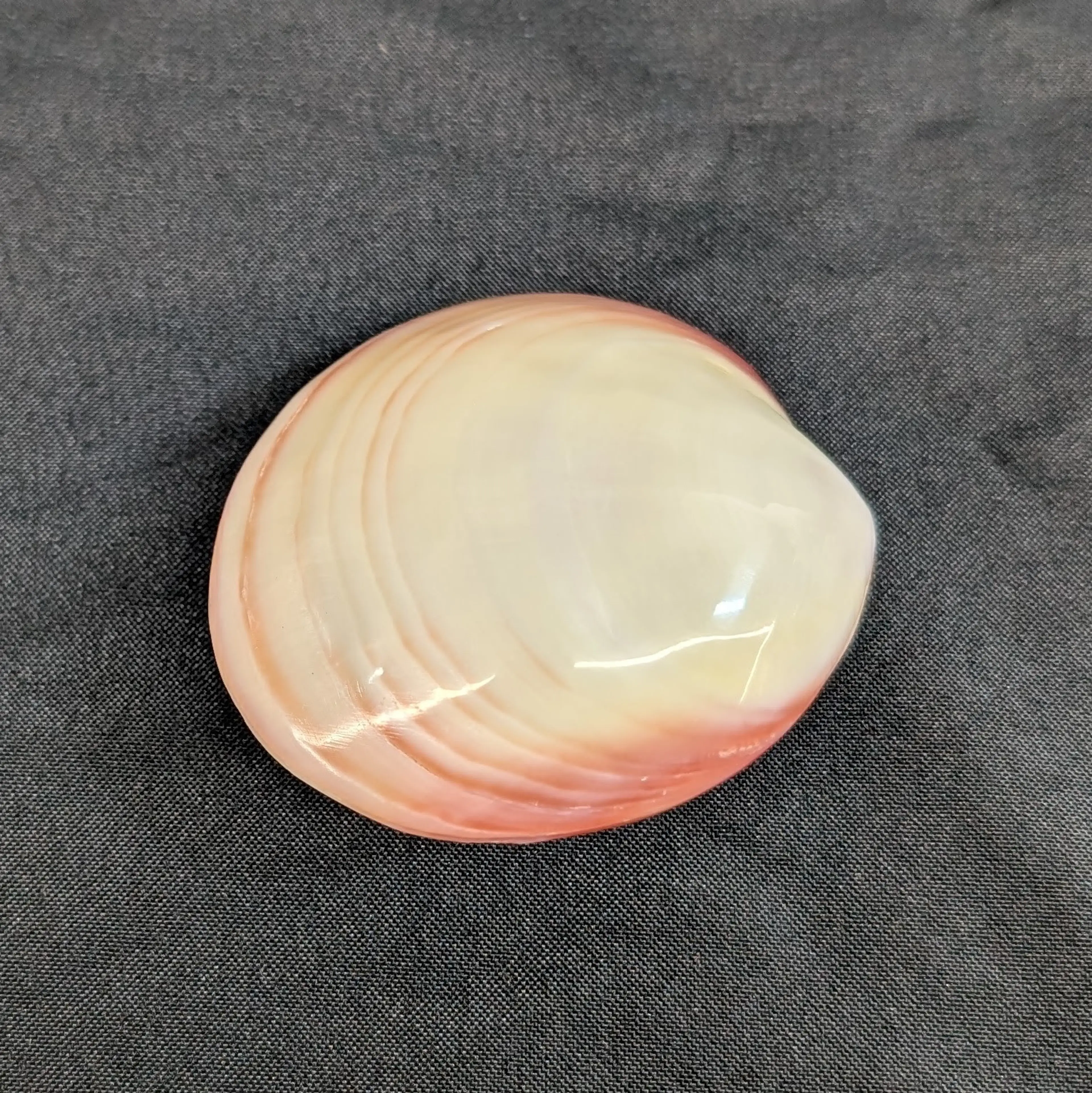 Image 3 of 10