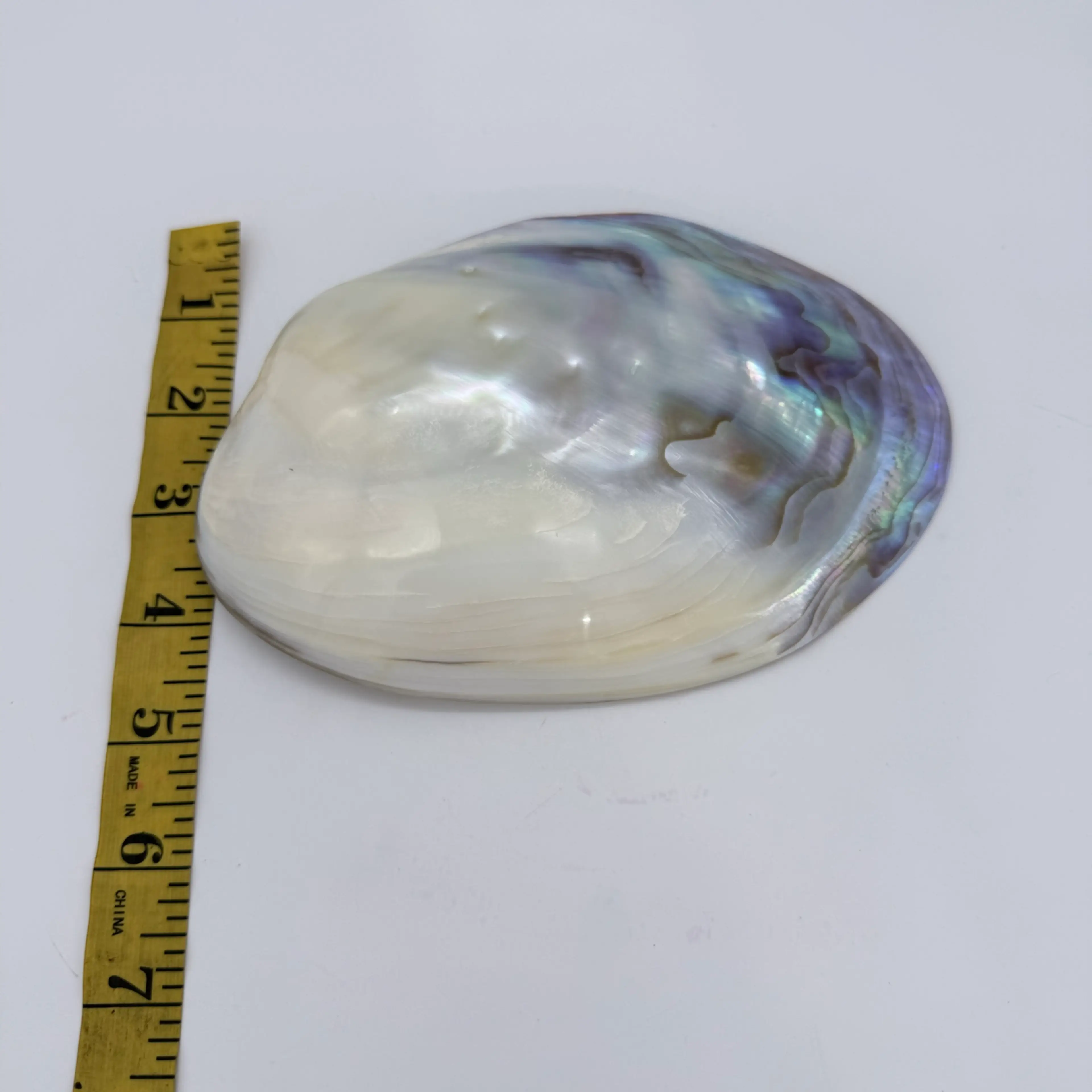 Image 5 of 10