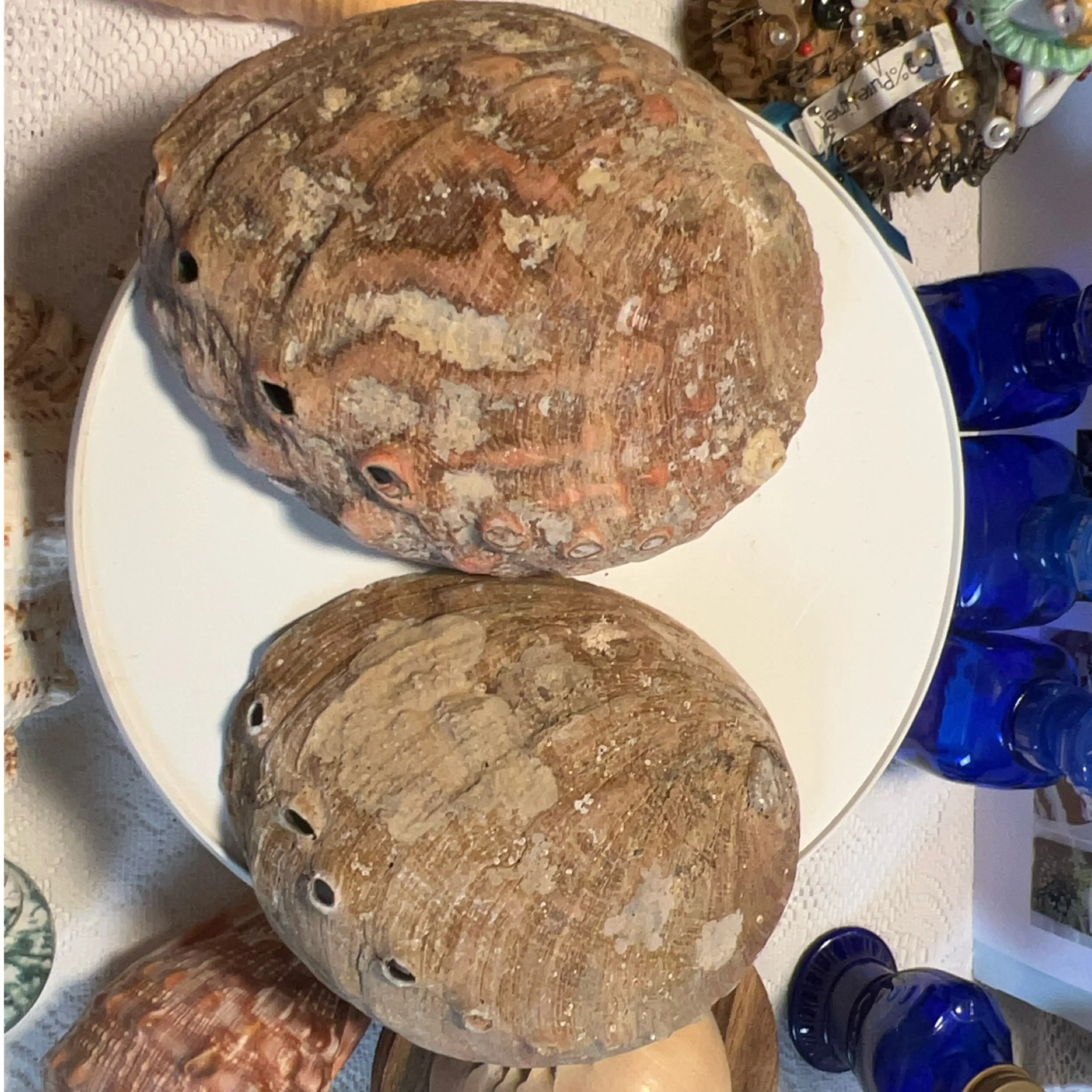 Image 2 of 8