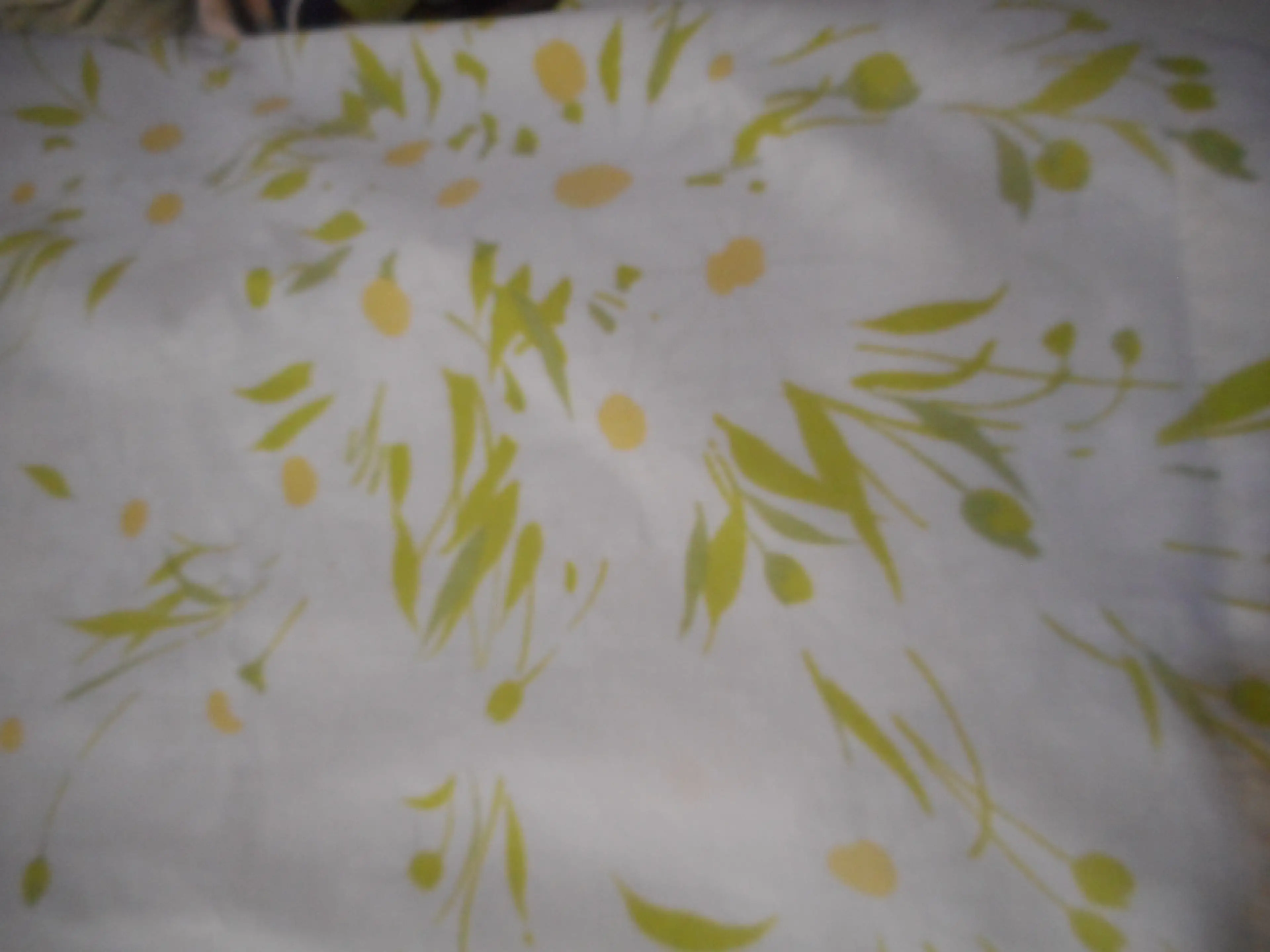 Image 4 of 5