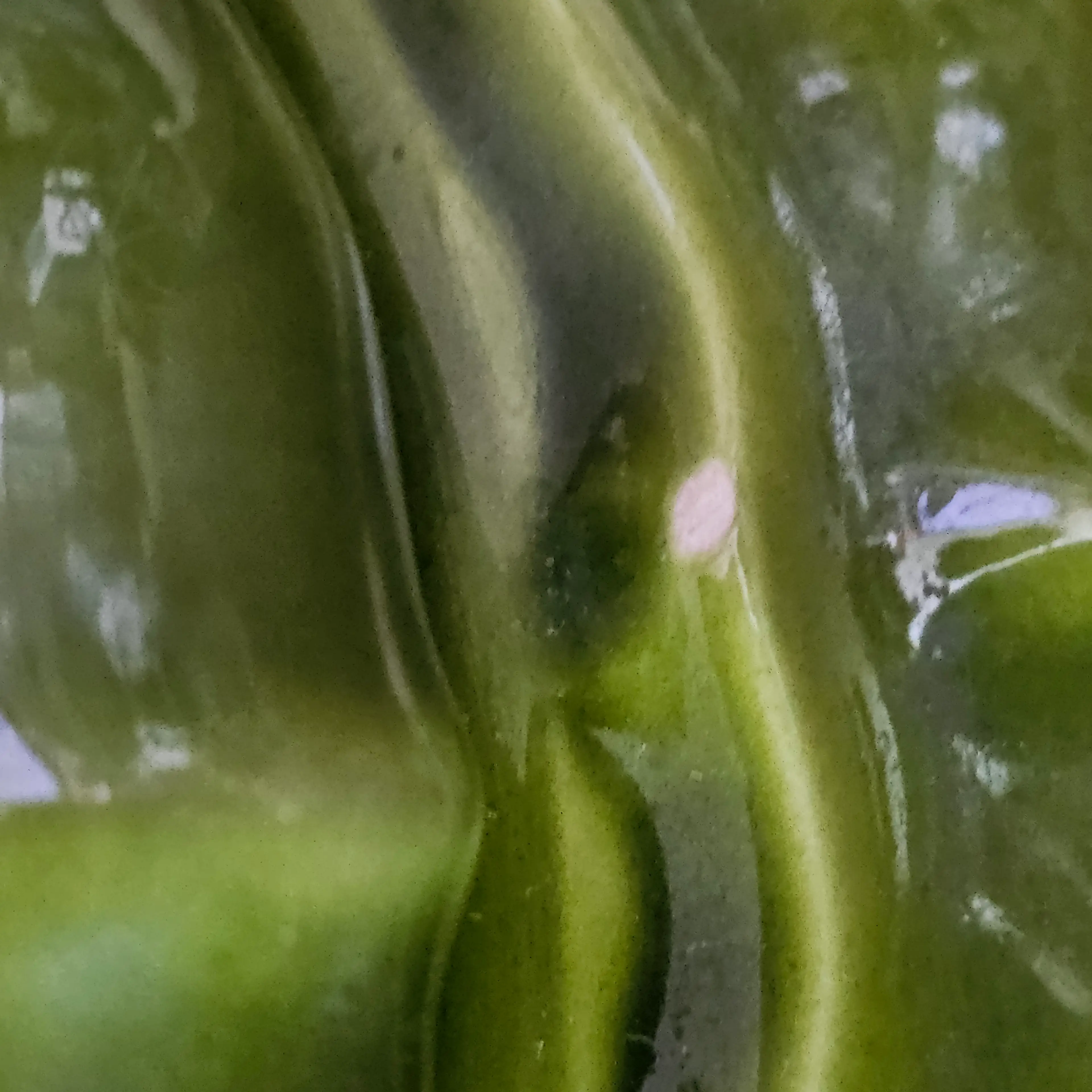 Image 3 of 20