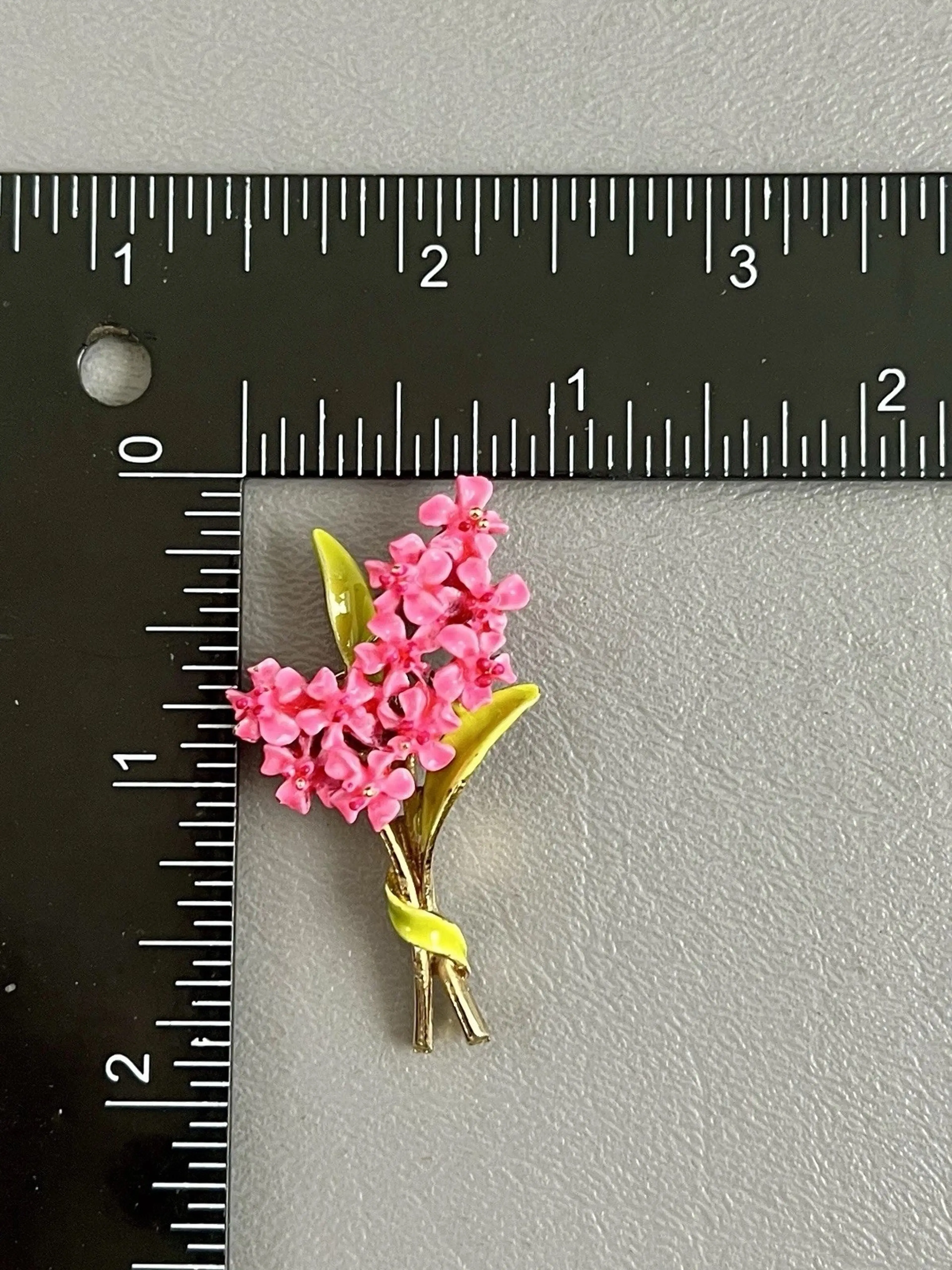 Image 5 of 5