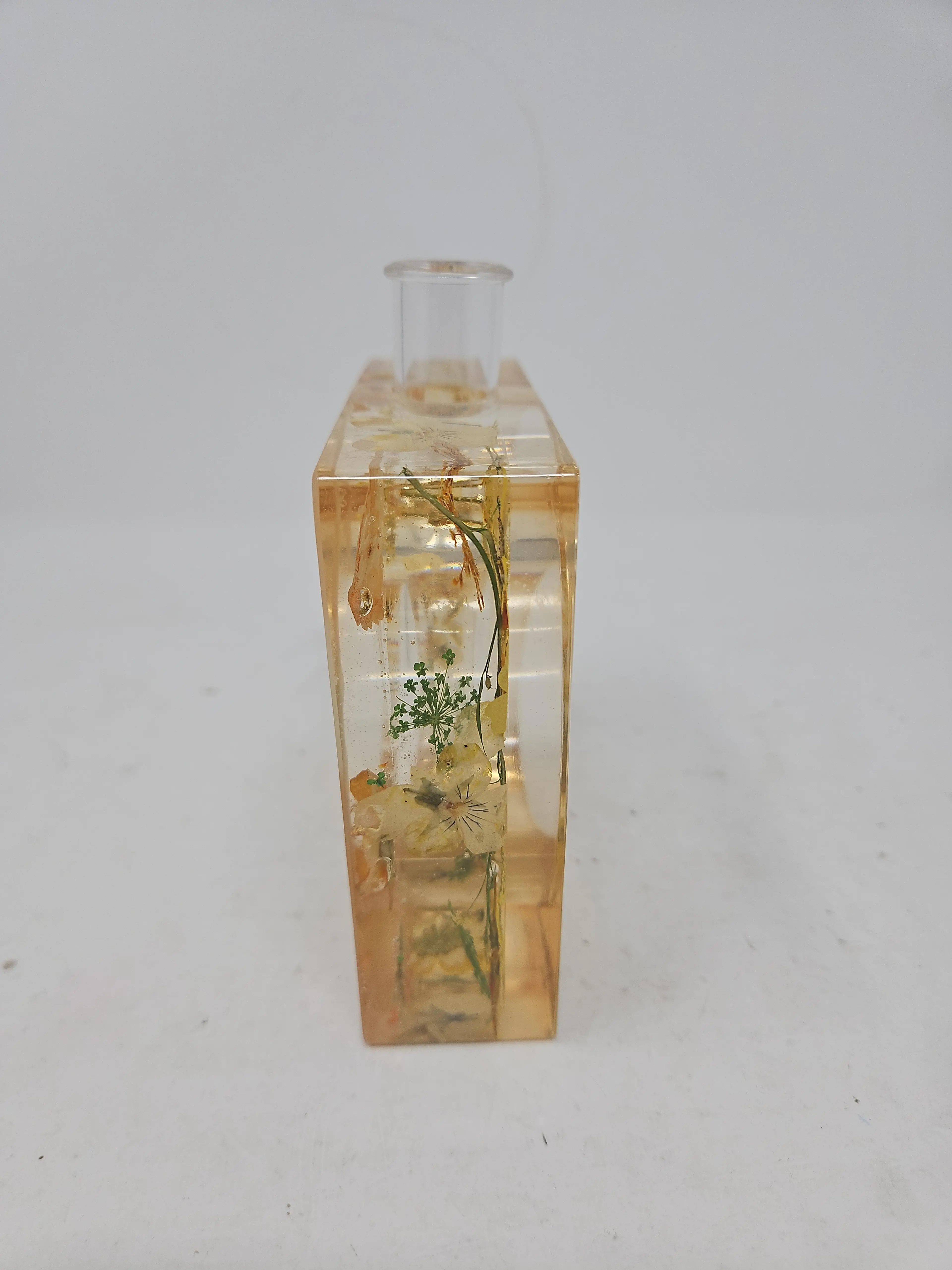 Image 4 of 7
