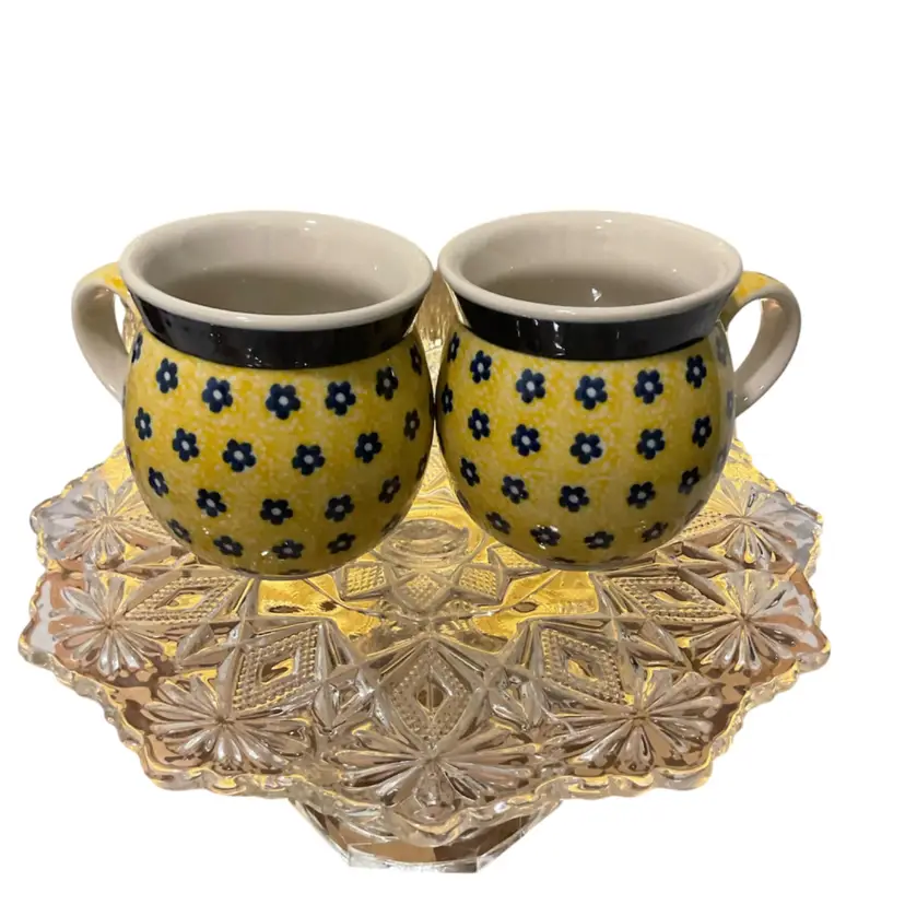 🎉Sunshine 12oz Bubble Mug Polish Pottery - Set Of 2