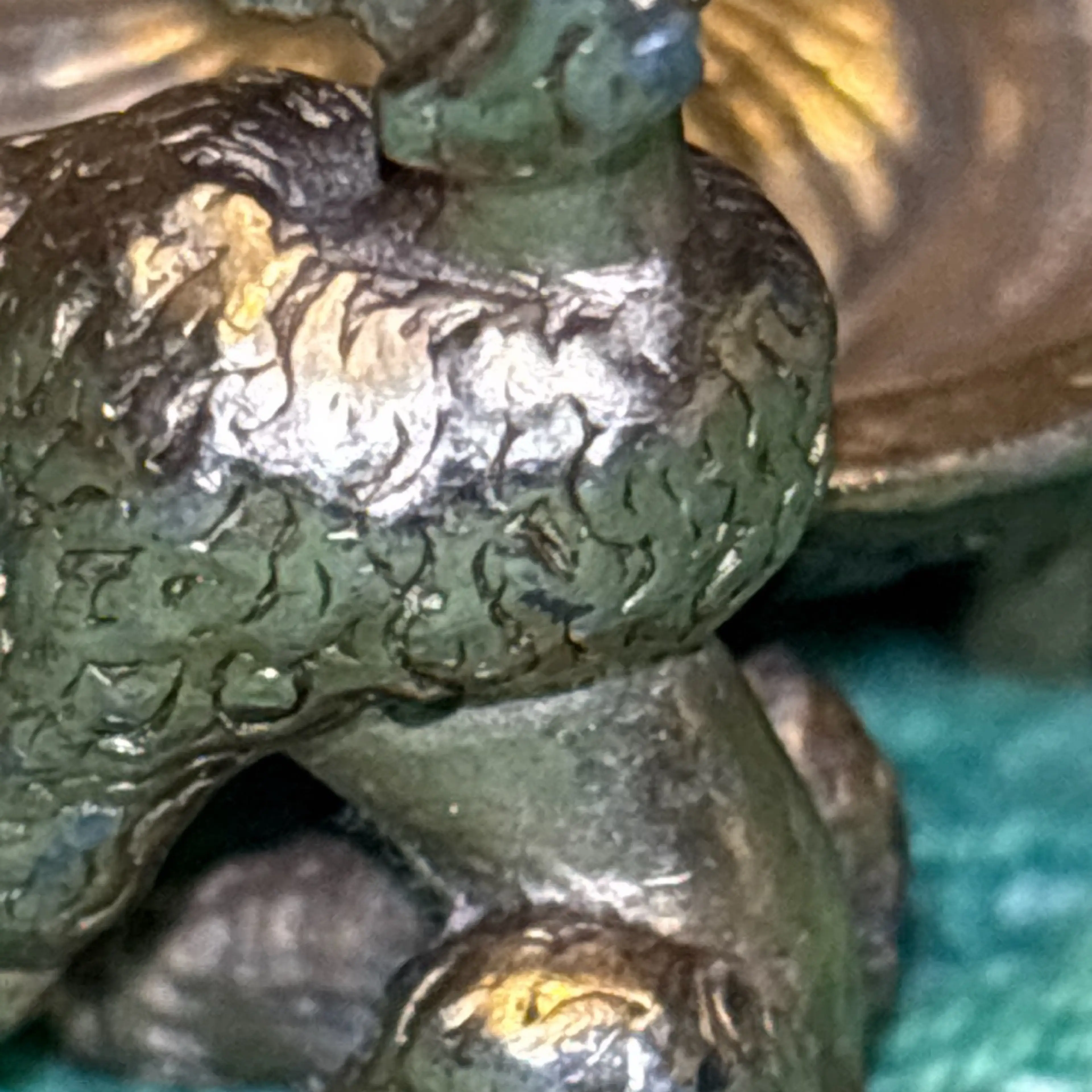 Image 3 of 7