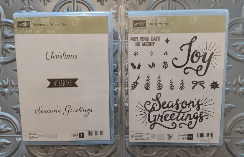 Stampin Up Christmas Watercolor Winter Too #136819 Berry Merry #139768 stamp lot