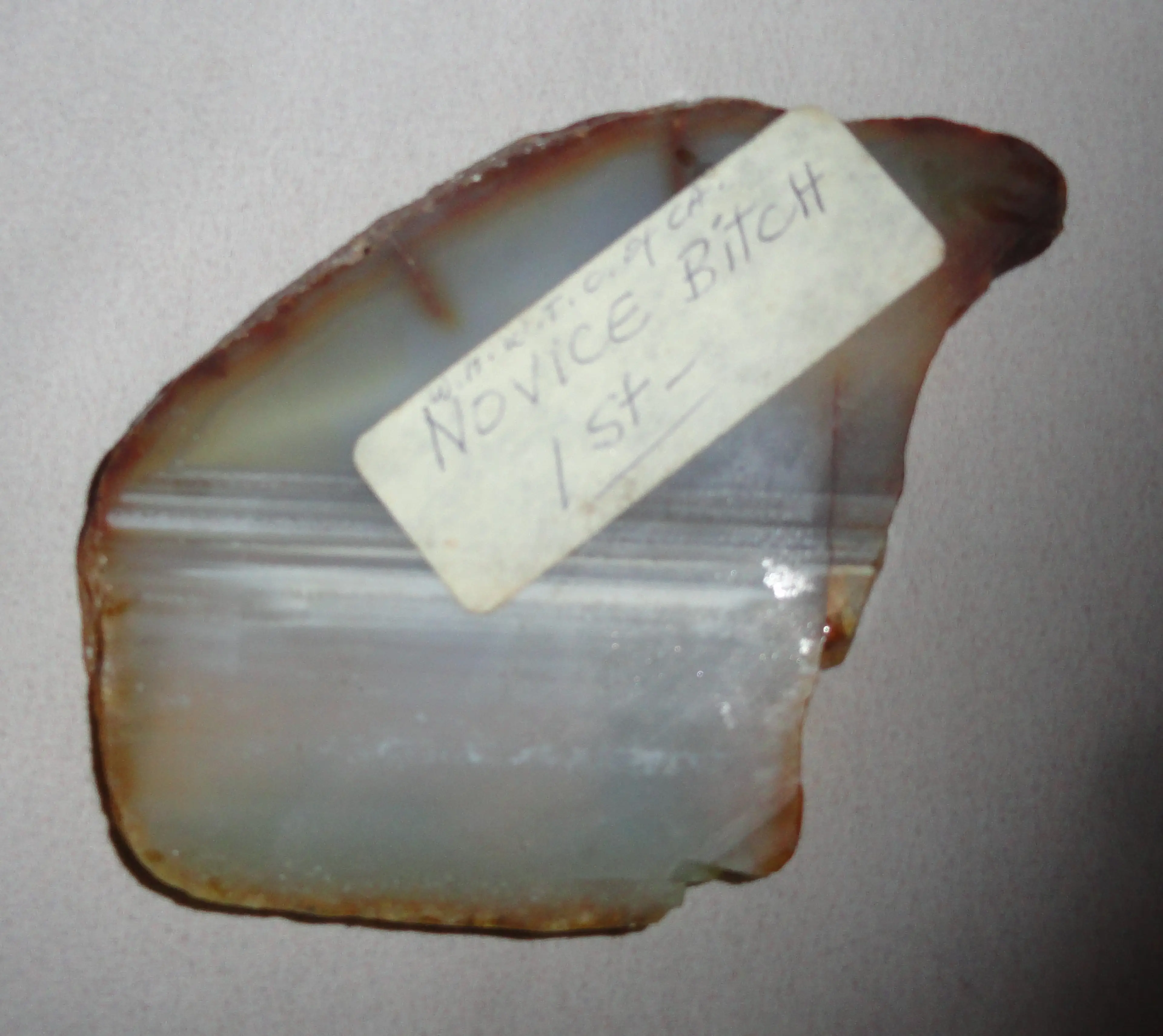 Image 5 of 8