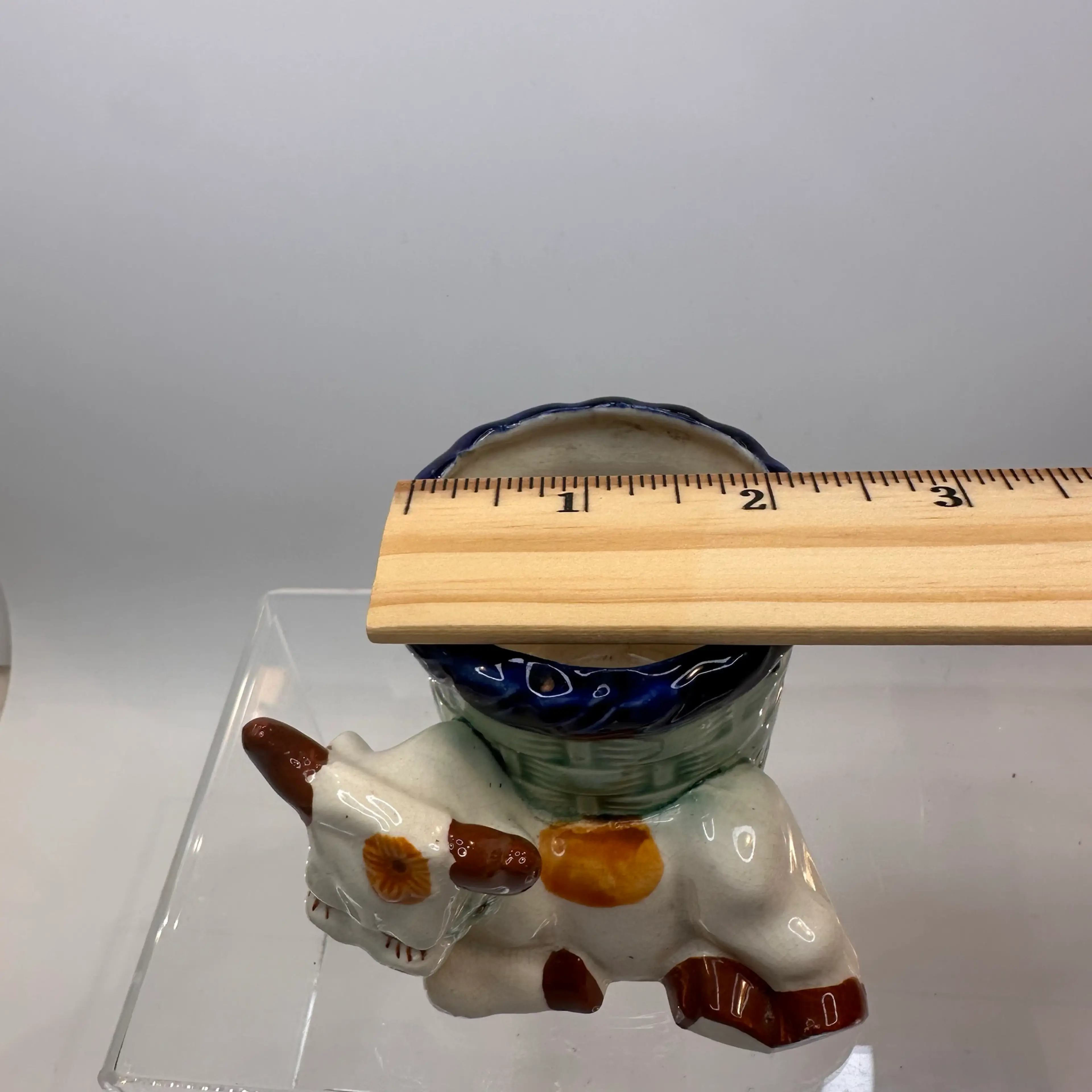 Image 5 of 6
