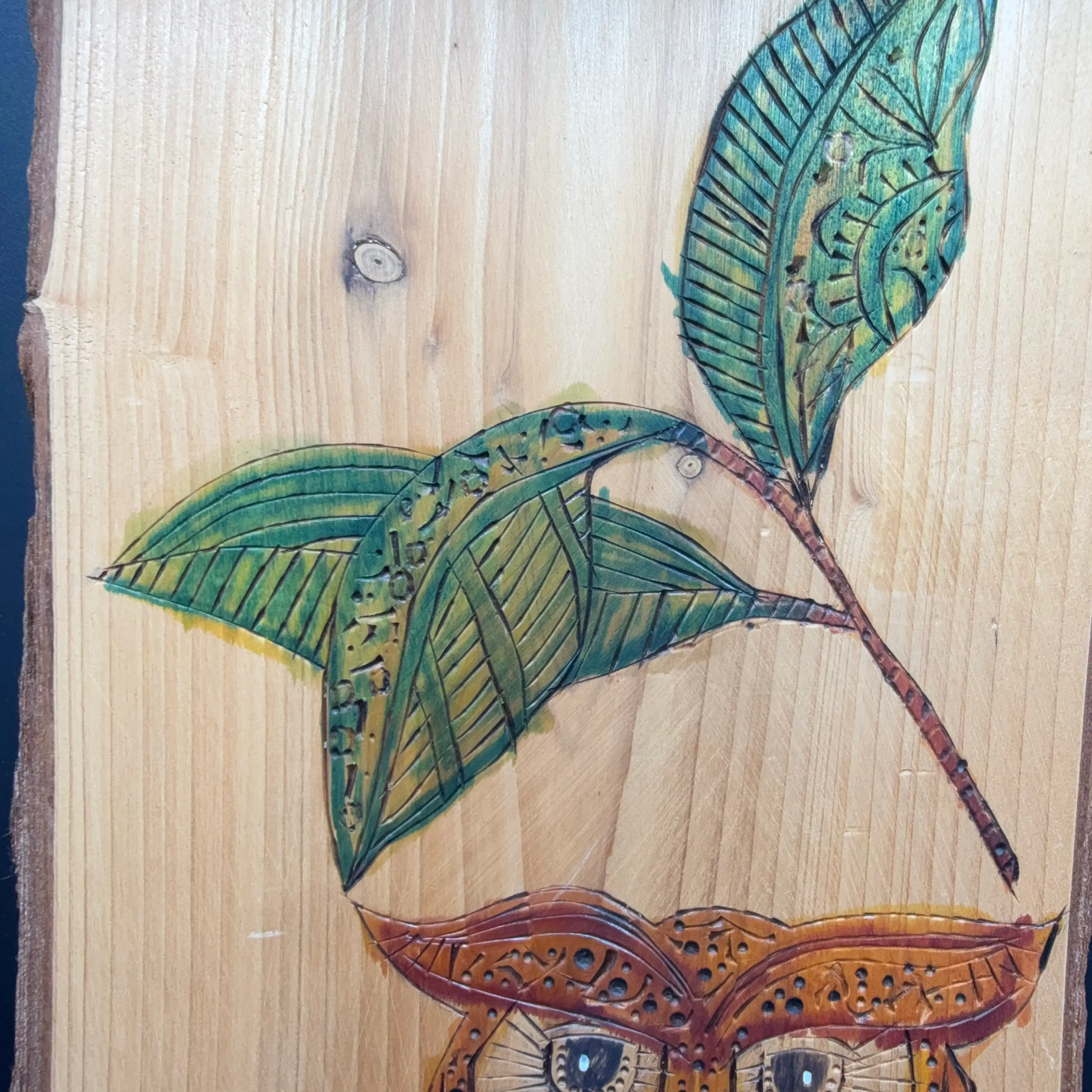 Image 2 of 5