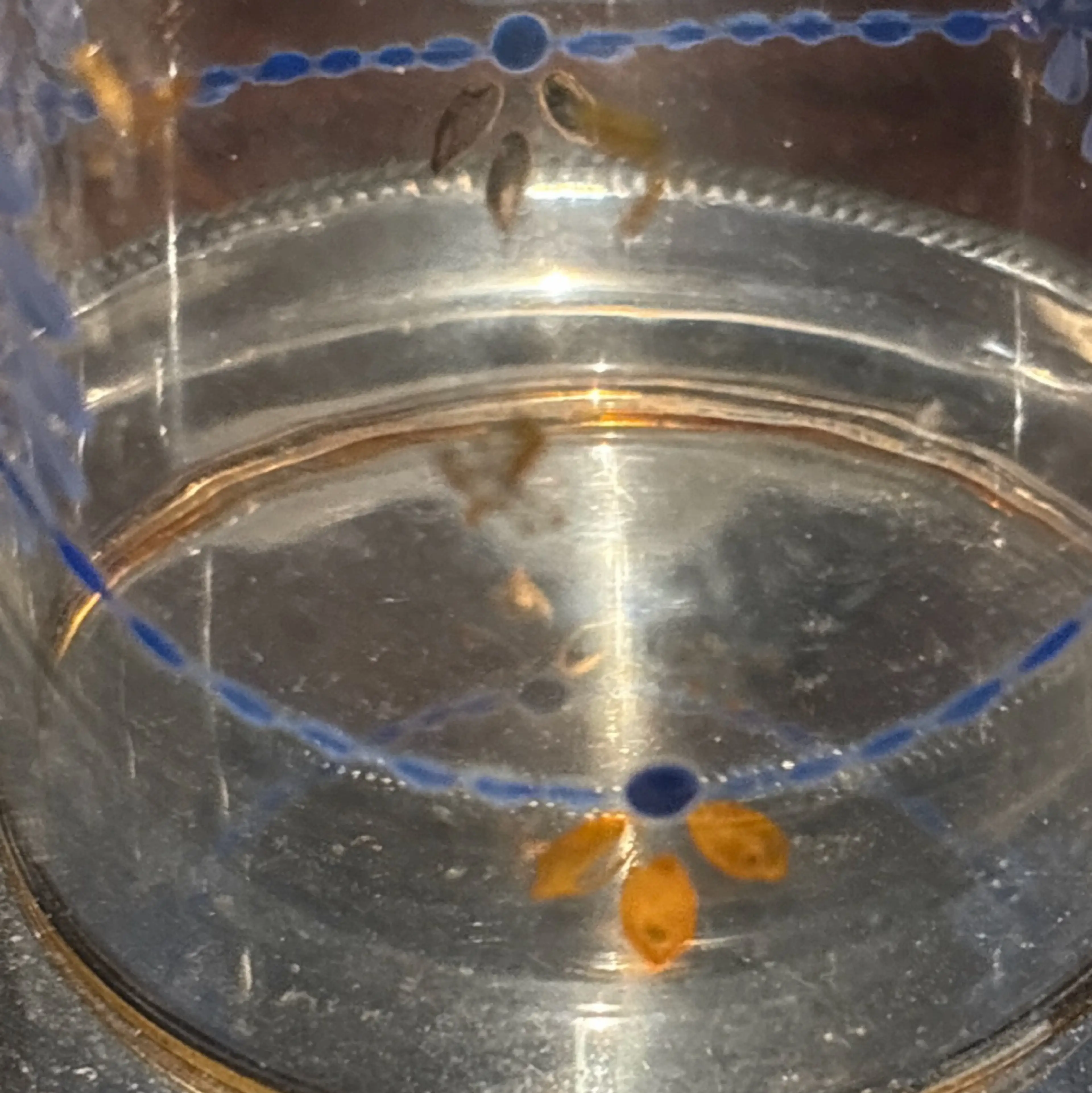 Image 4 of 8