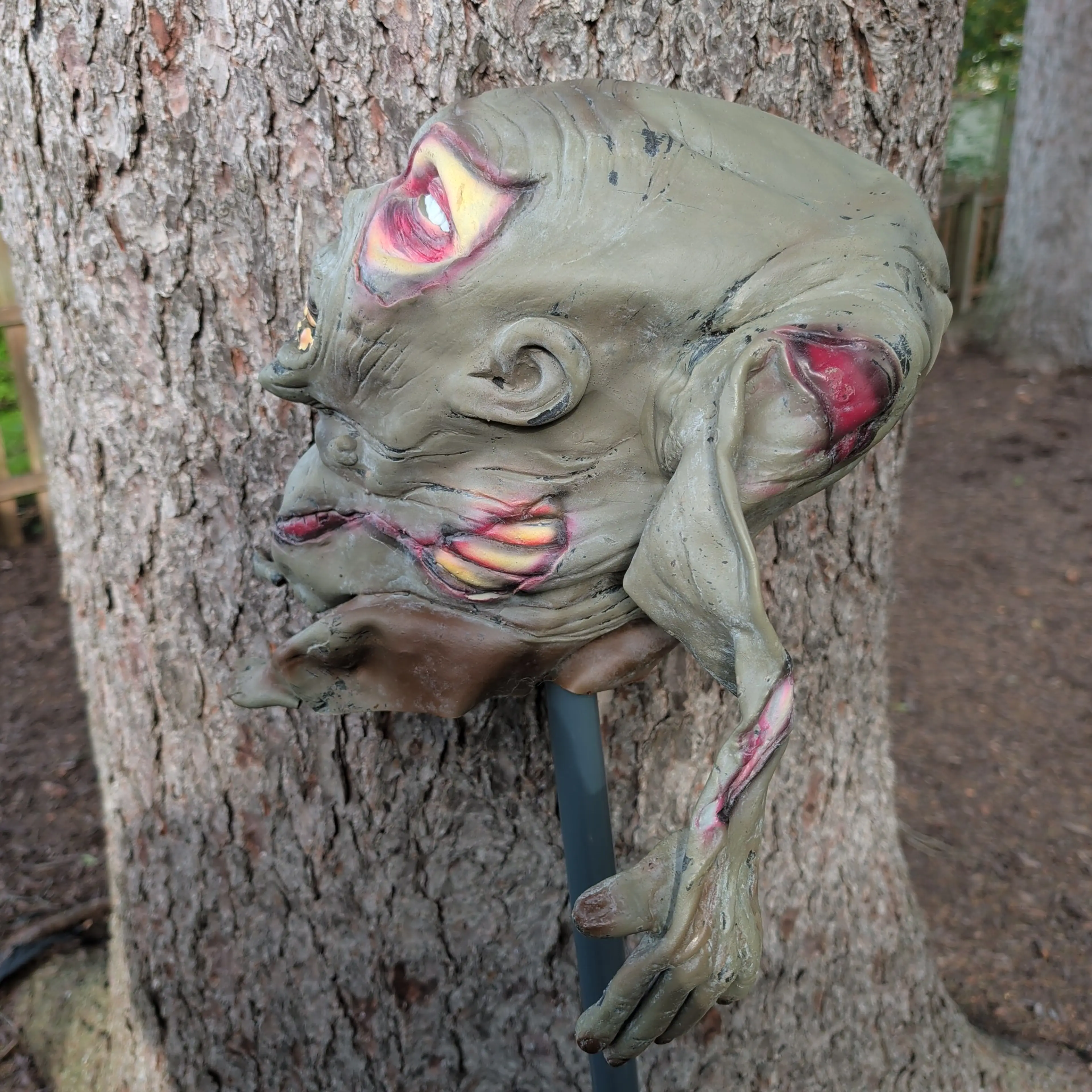 Image 3 of 7