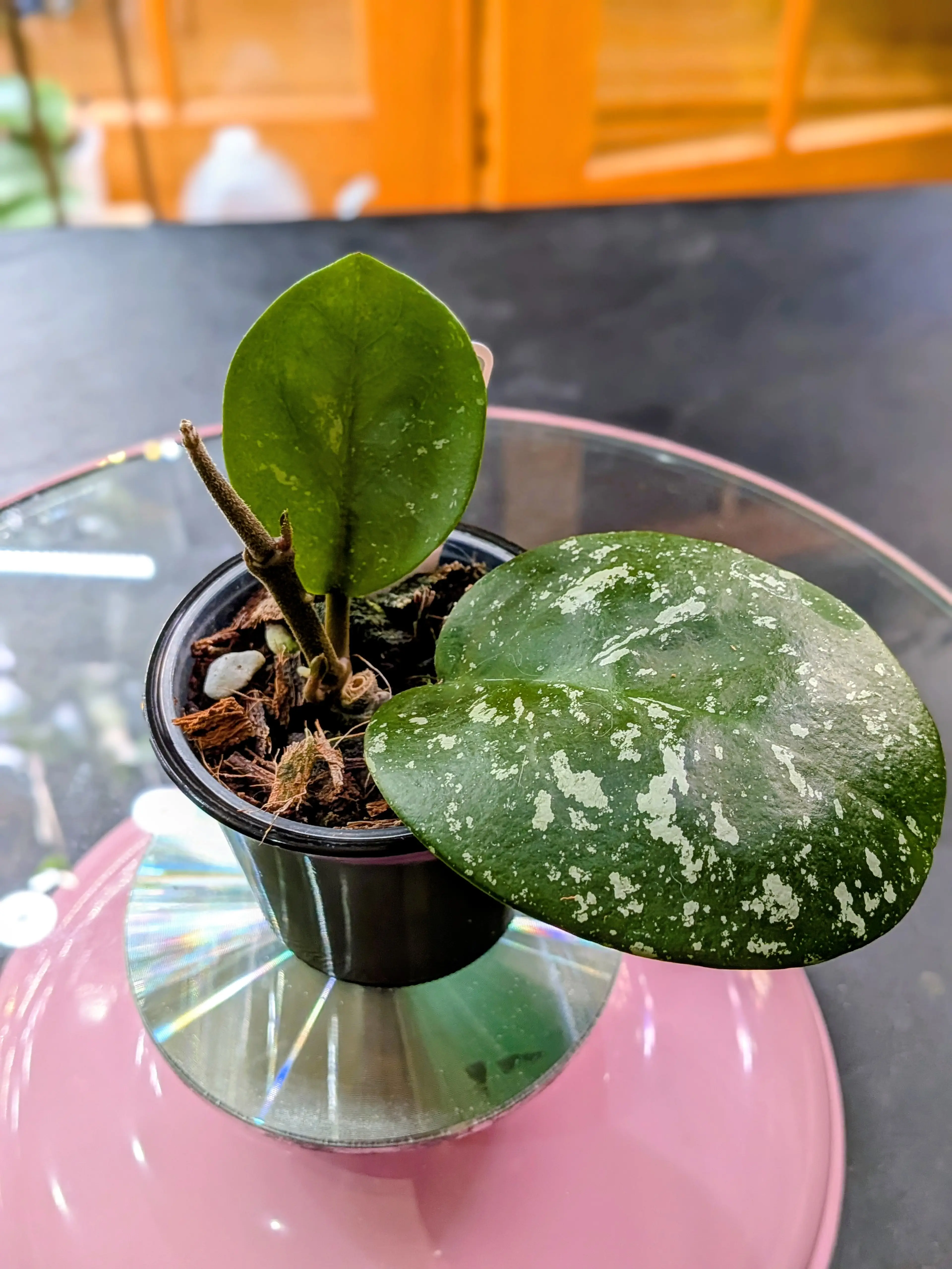 Image 1 of 2