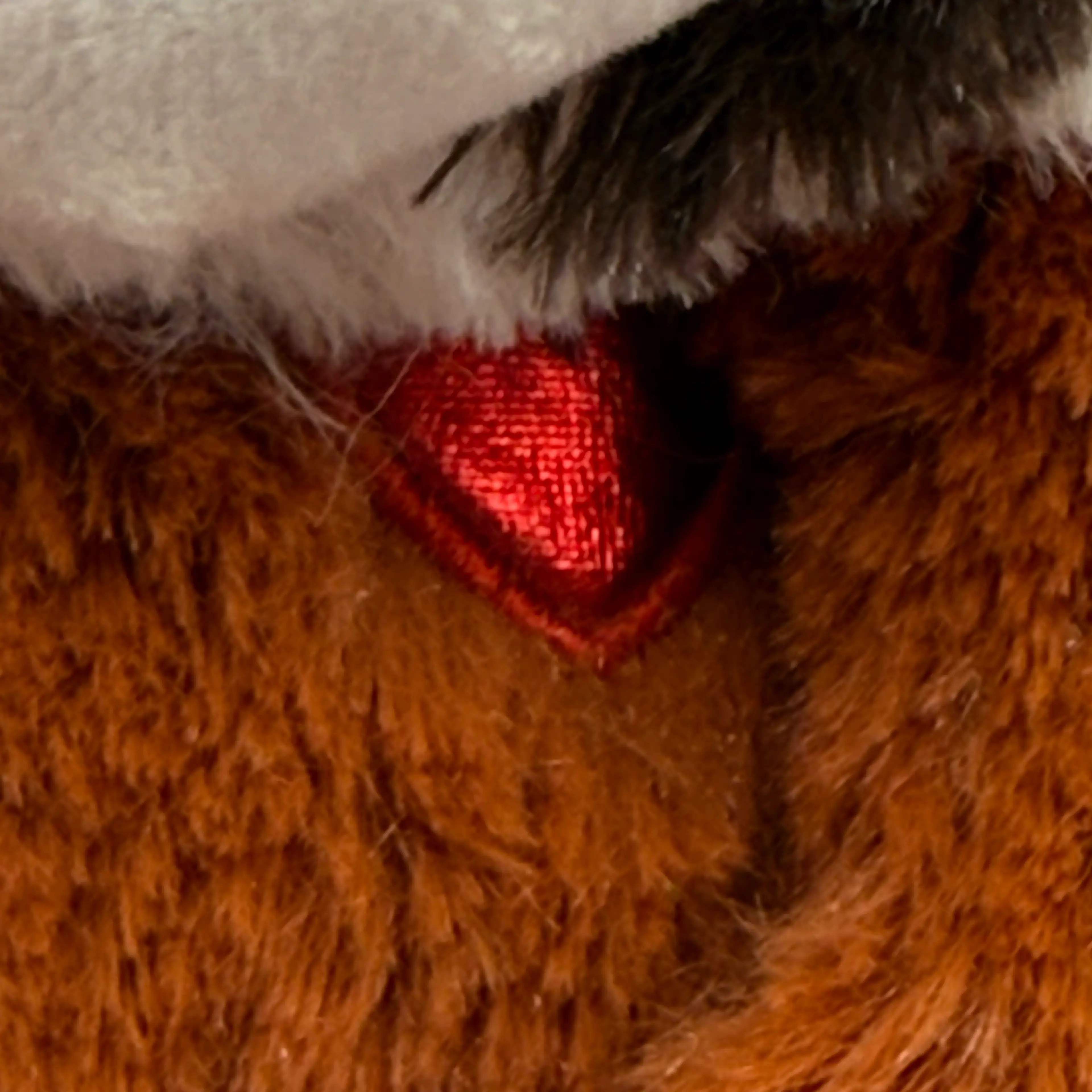 Image 4 of 6