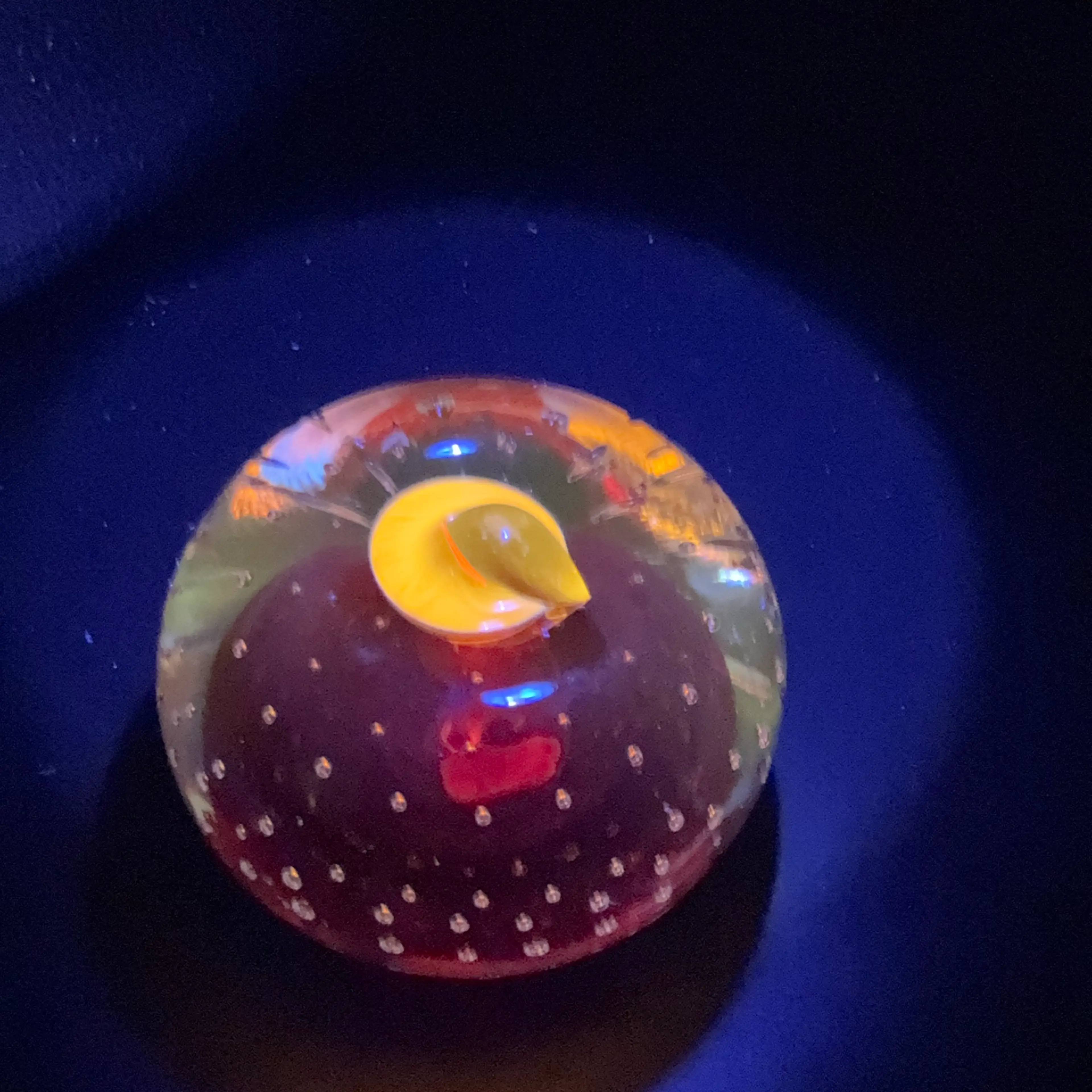 Image 5 of 5