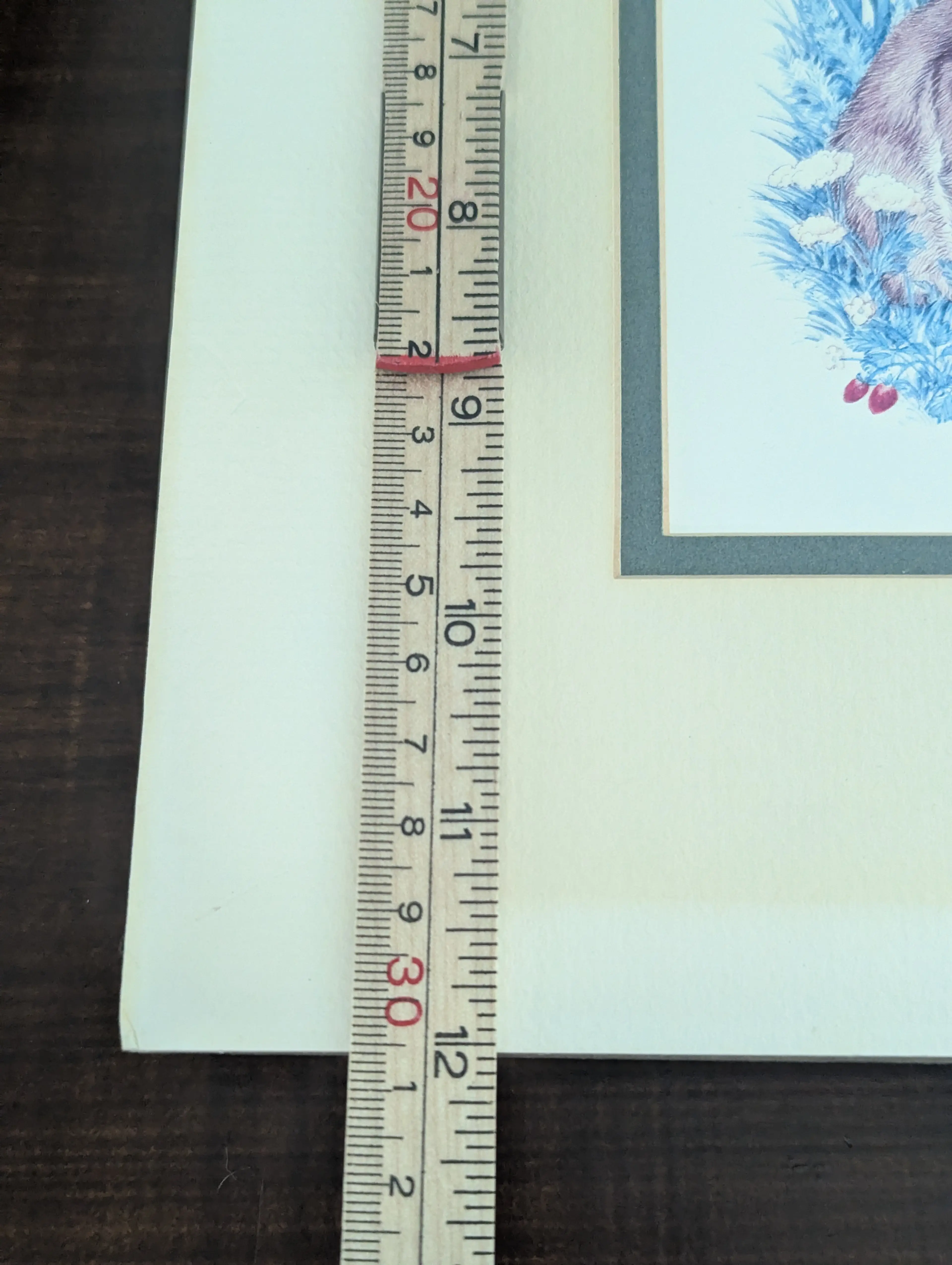 Image 4 of 5