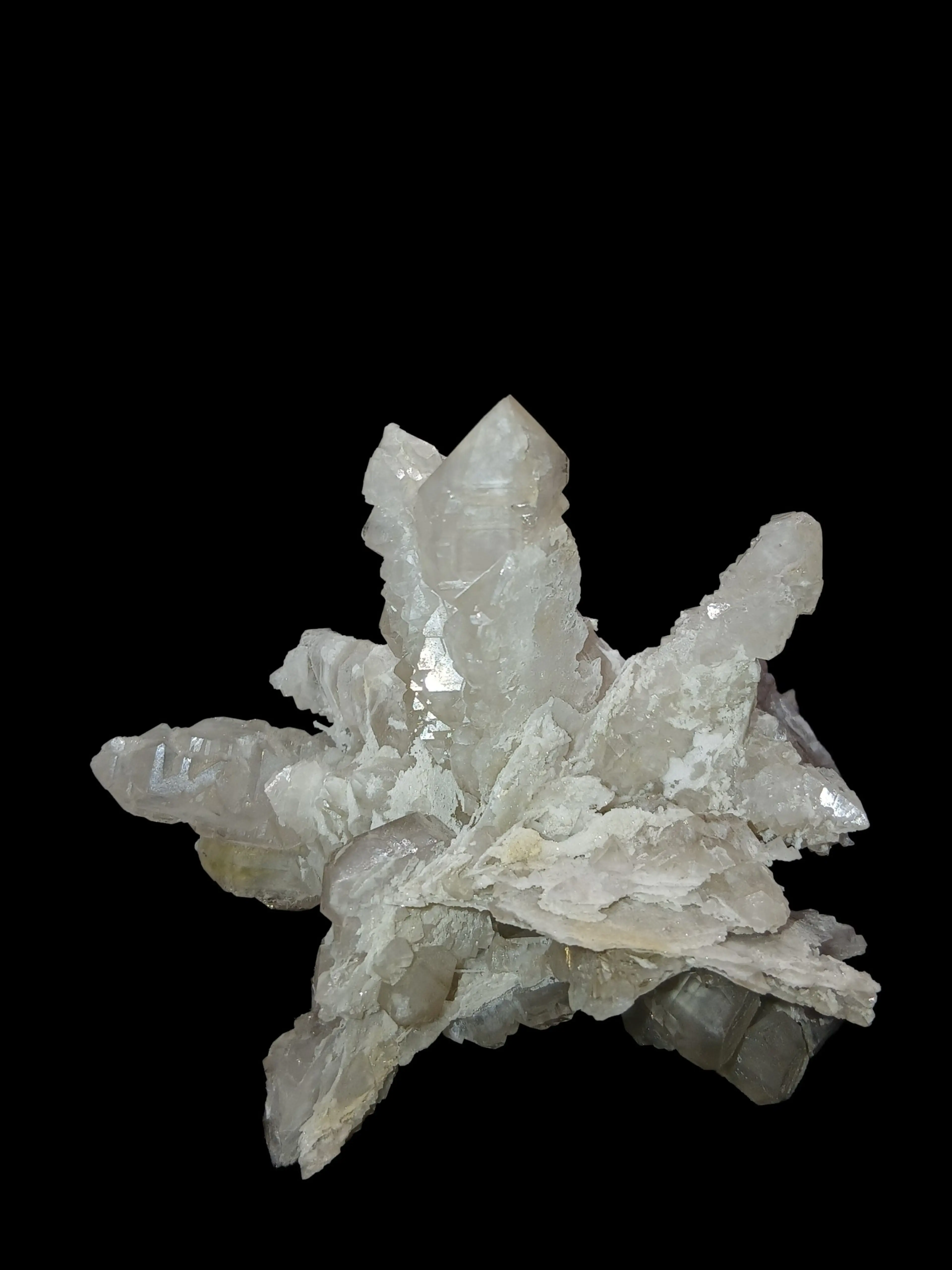 Image 1 of 5