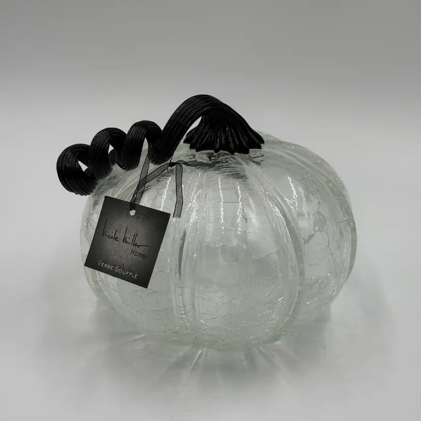 Nicole Miller Home Glass Pumpkin Hand Blown Clear Crackle Black Curly Stem