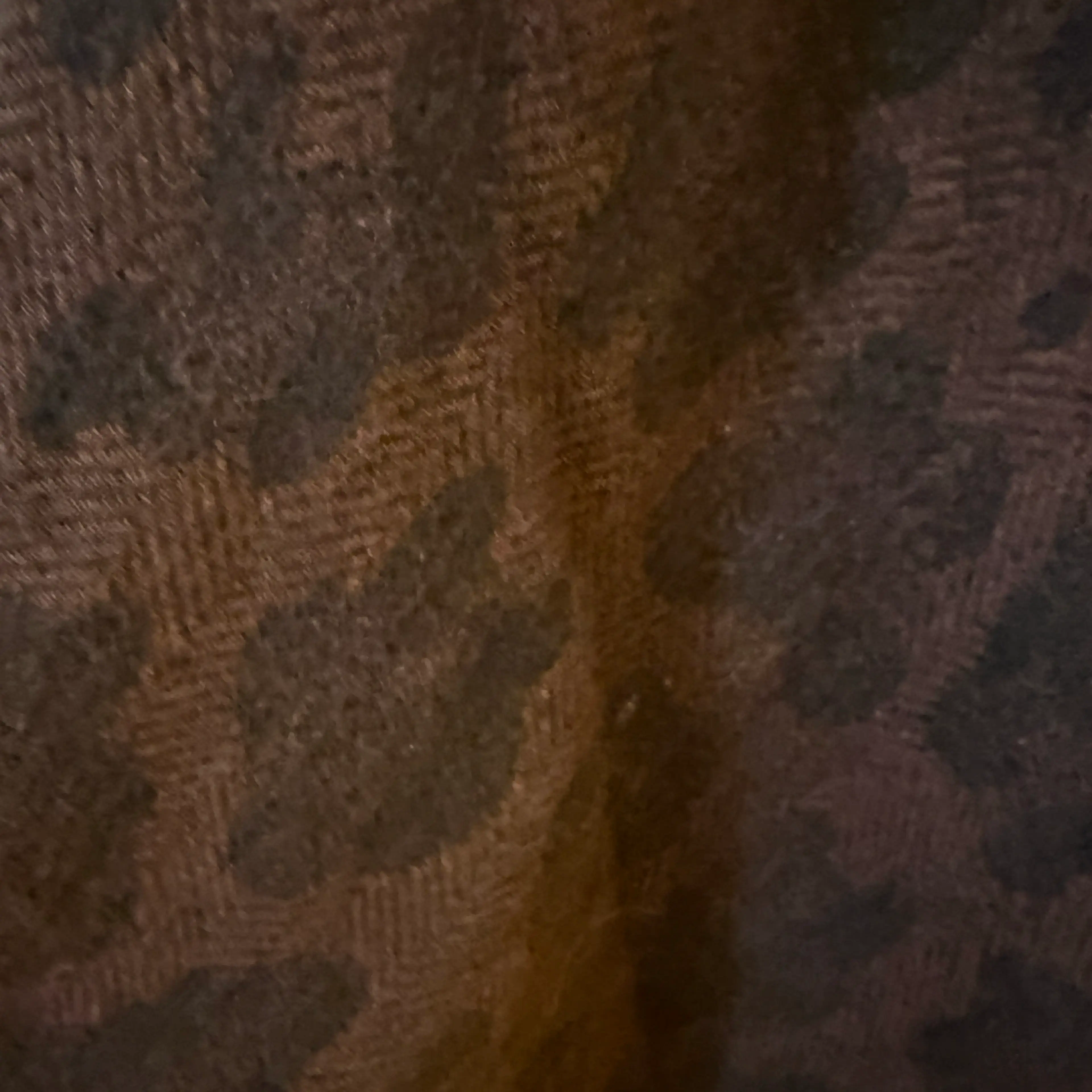 Image 5 of 5