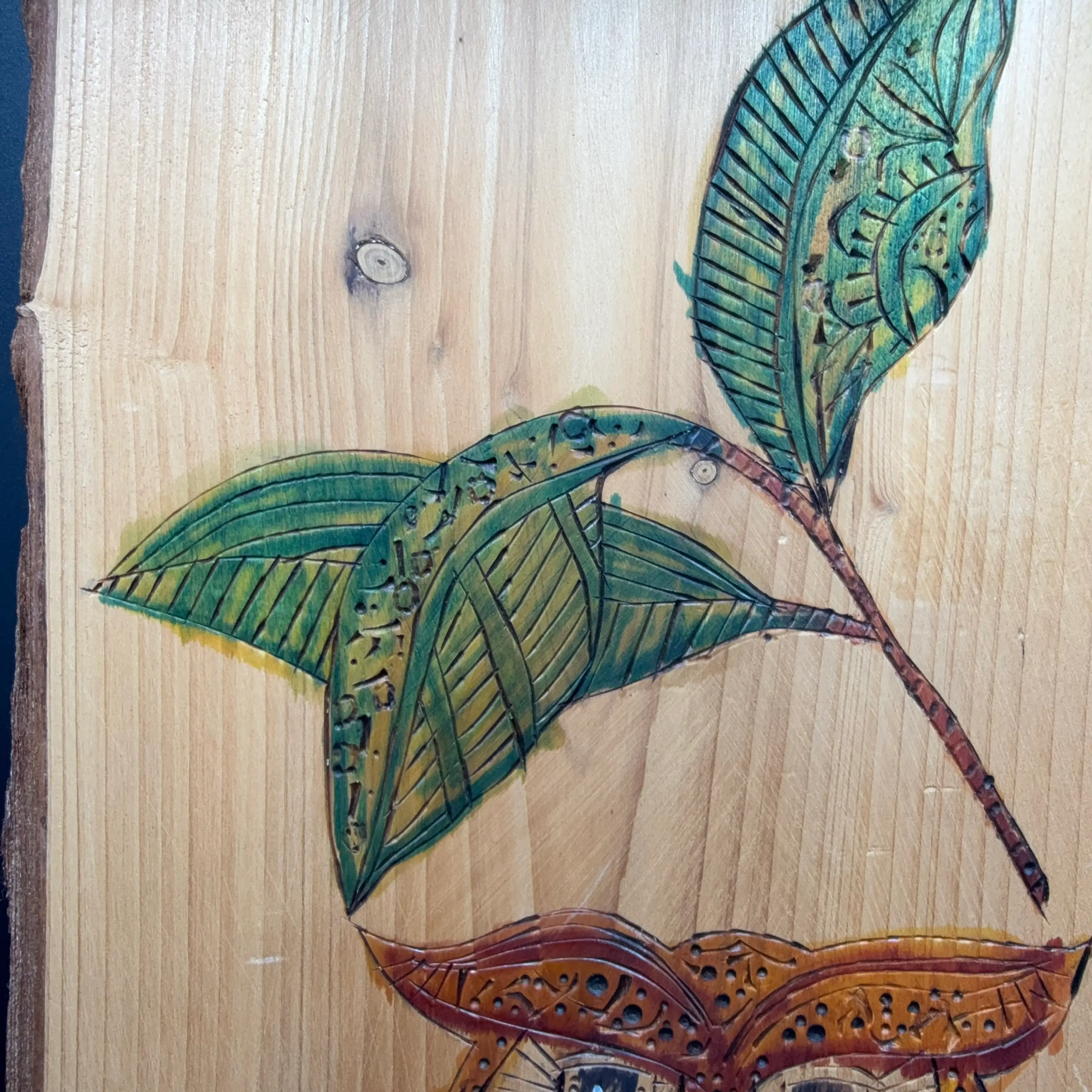 Image 3 of 5
