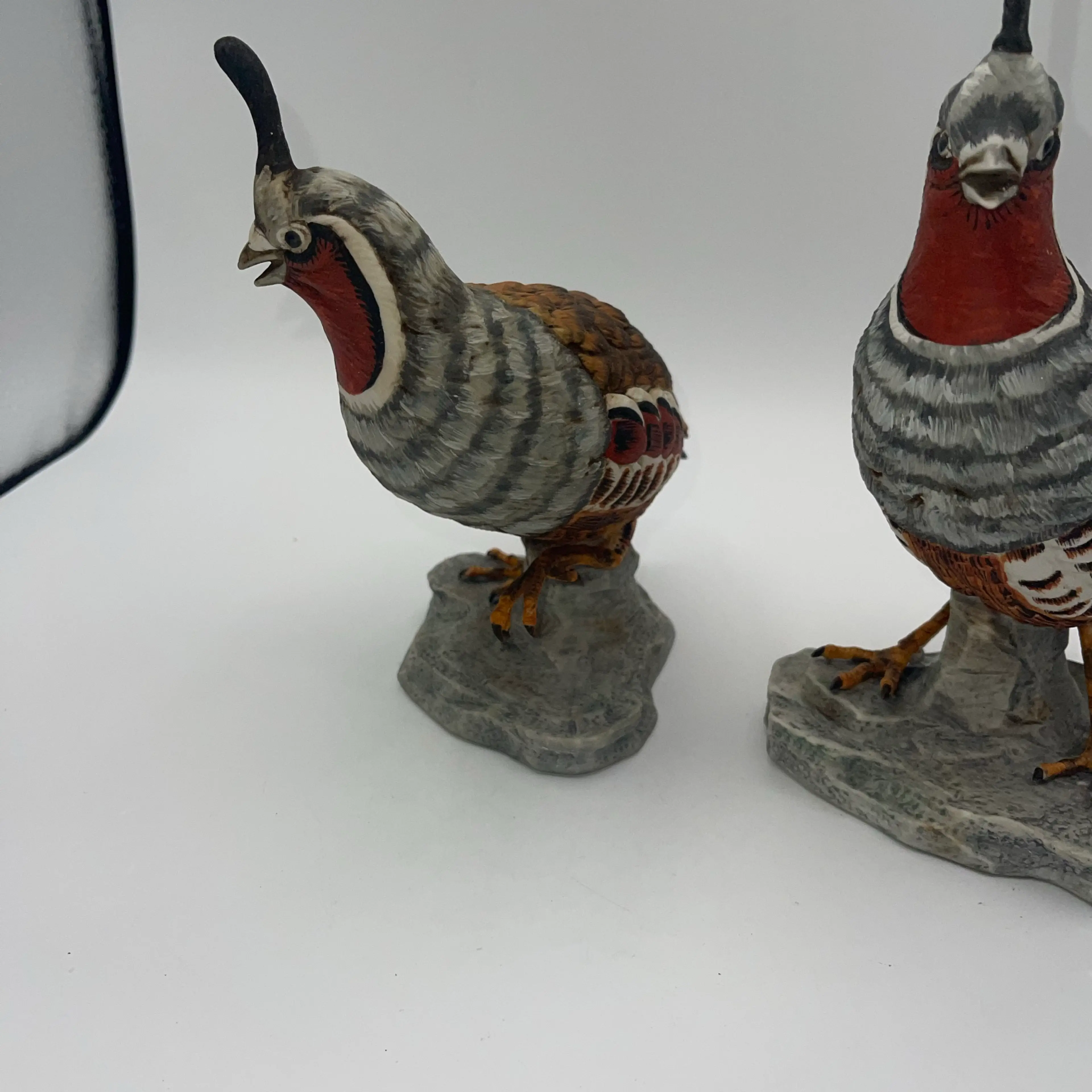 Image 3 of 8