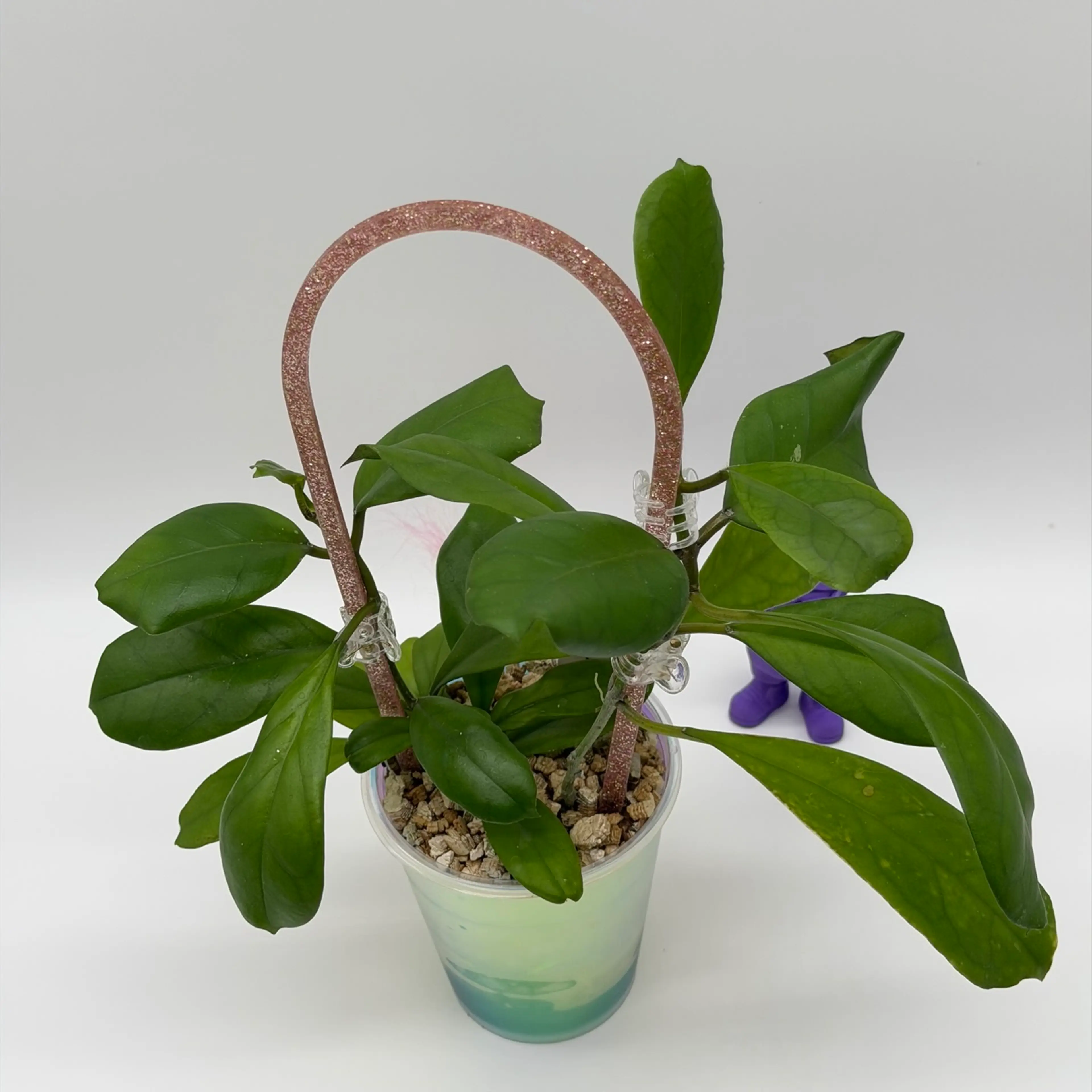 Image 2 of 4