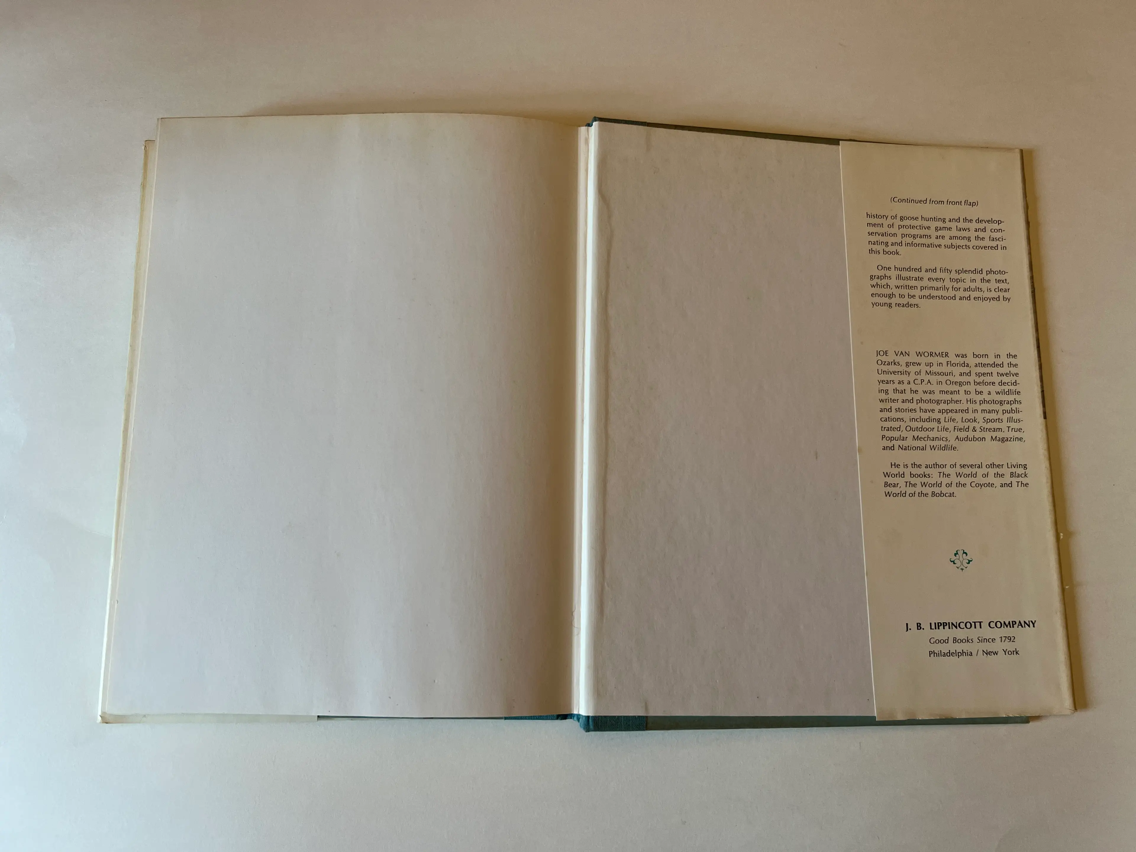 Image 4 of 9