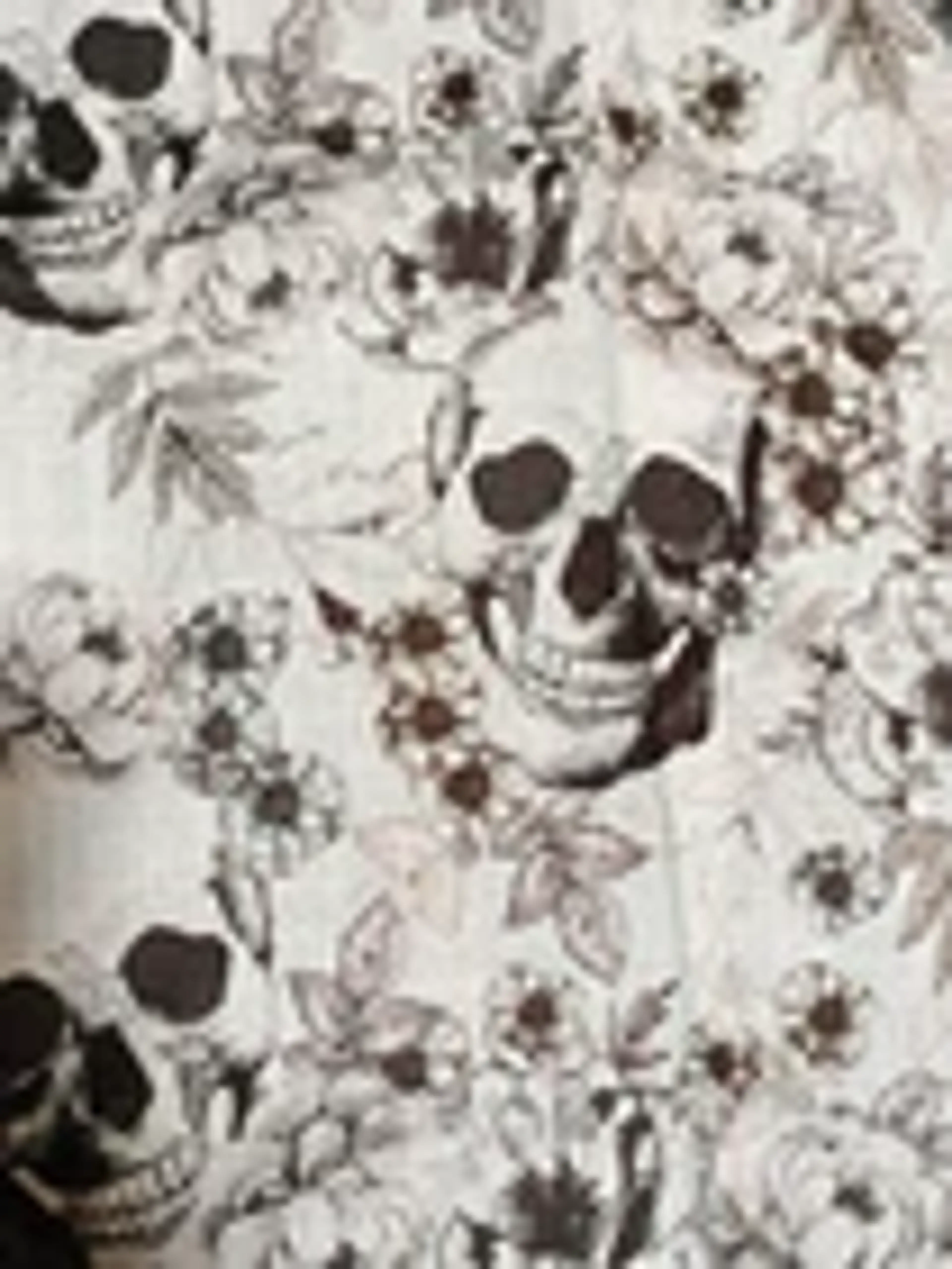 Image 2 of 5