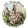 Tiffany | The Brass Bunny