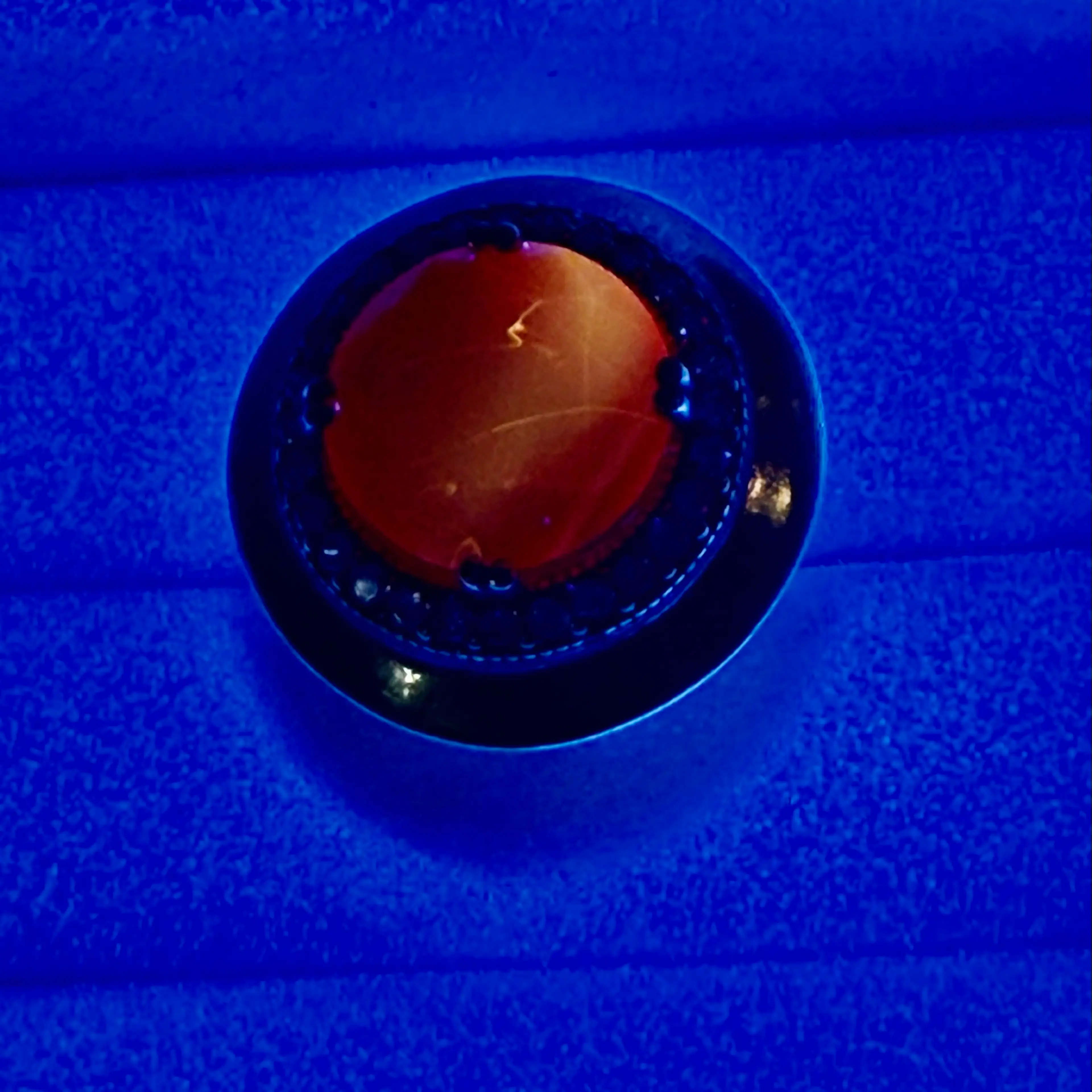 Image 5 of 5