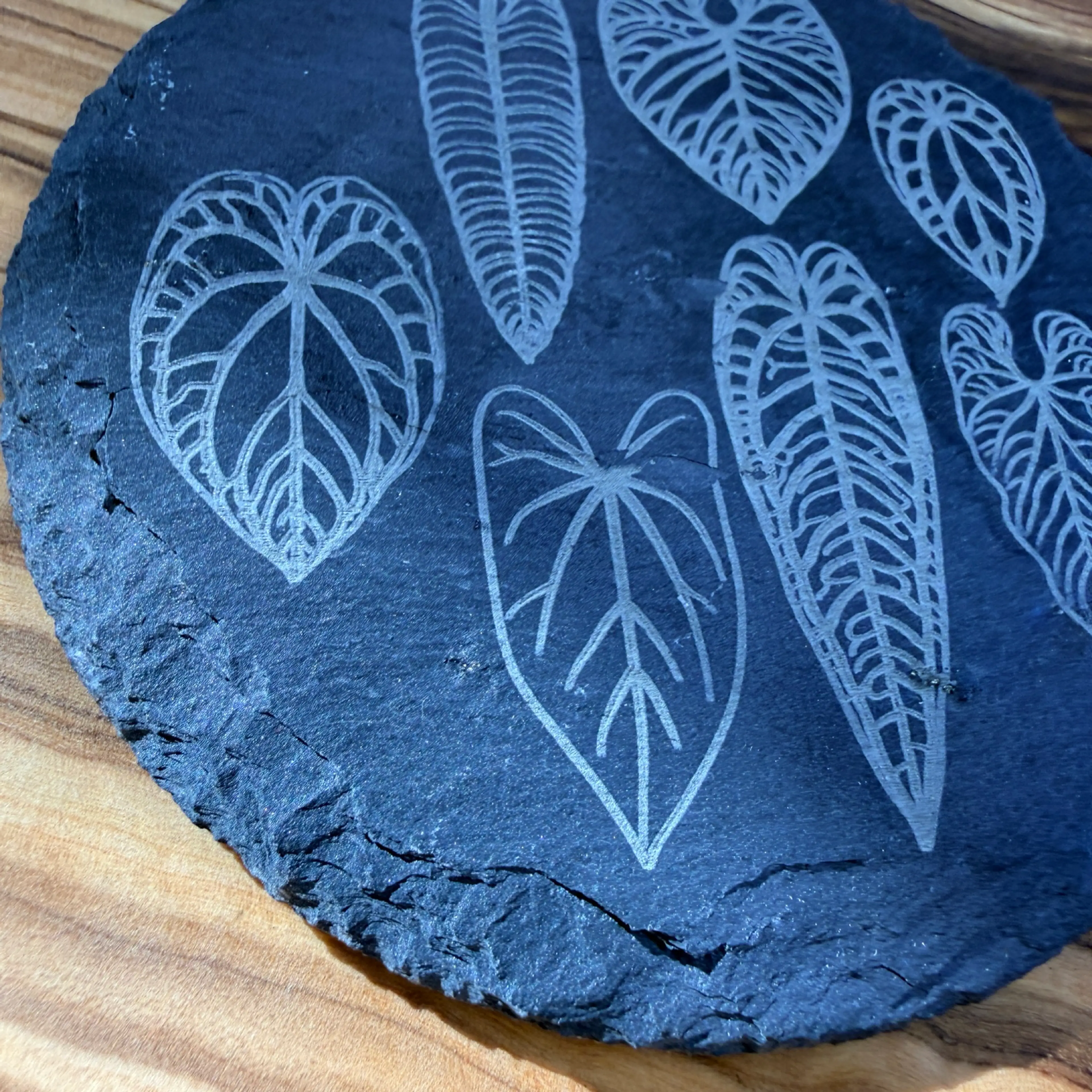 Image 3 of 5