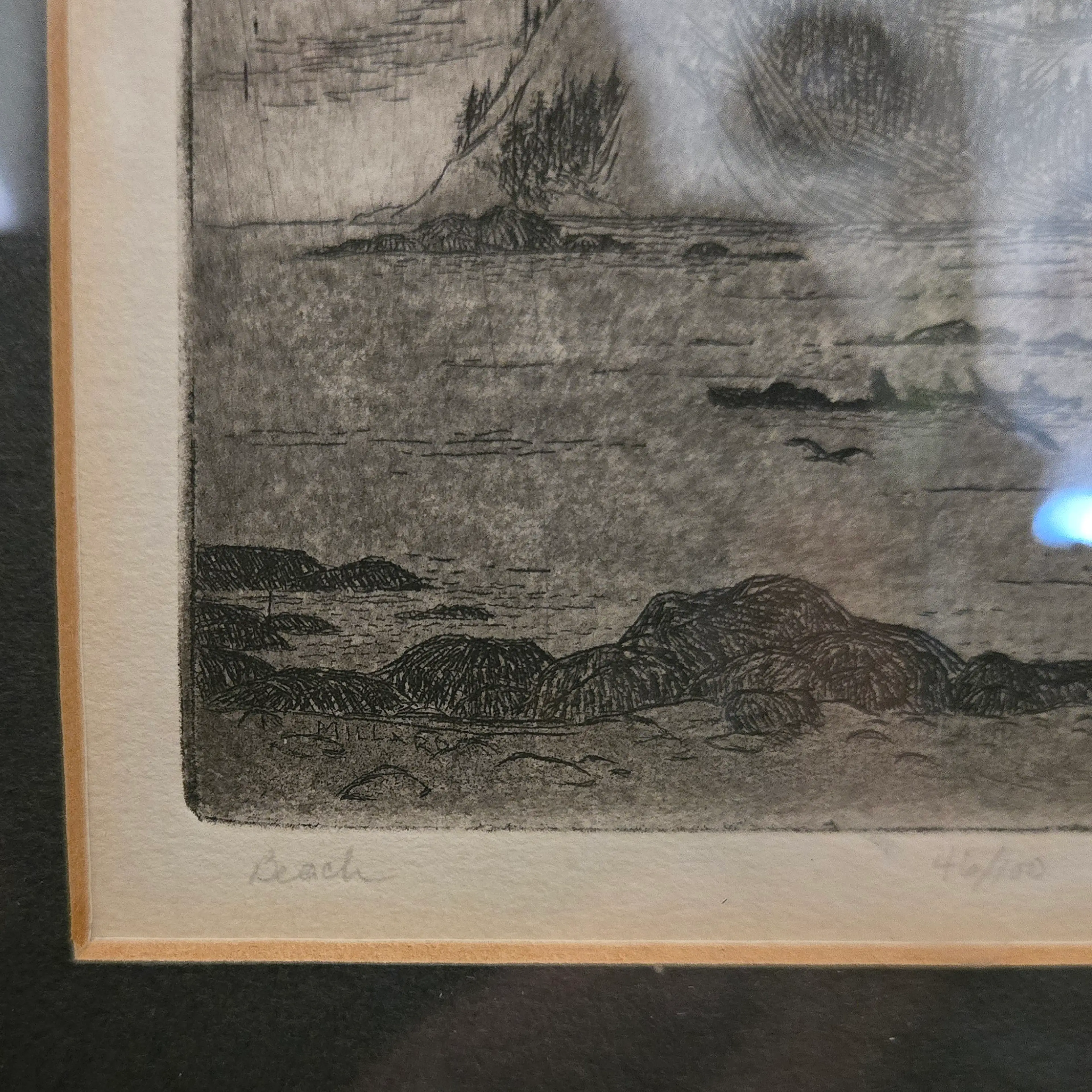 Image 3 of 14