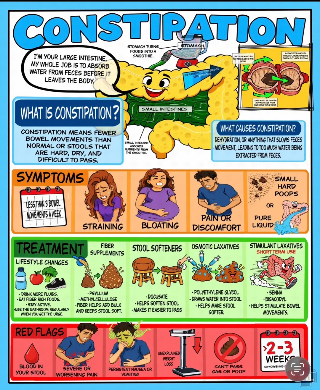 Constipation Patient Education Poster | Symptoms, Laxatives & Treatment Guide | Medical Office Wall Art (Digital Download)T