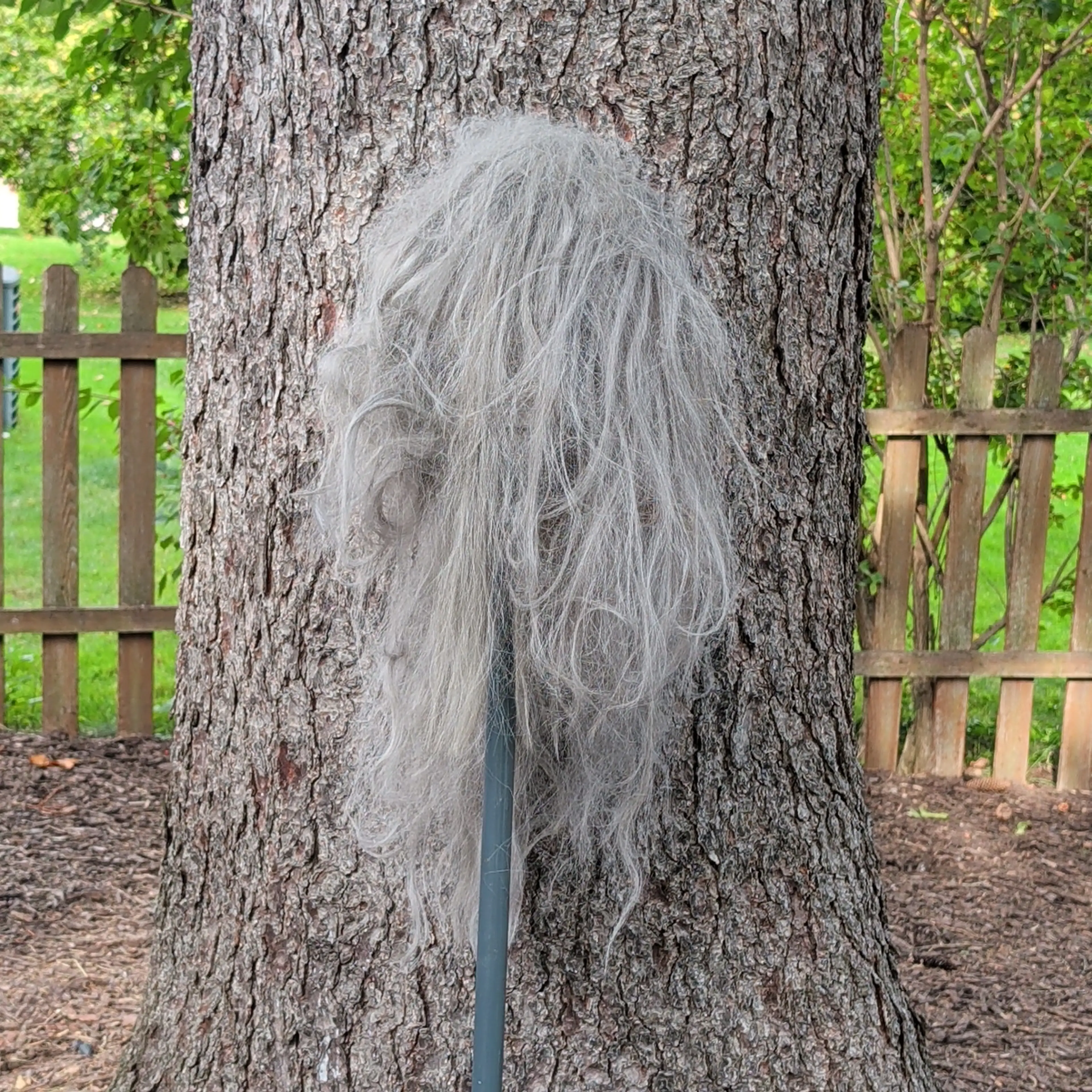 Image 4 of 6