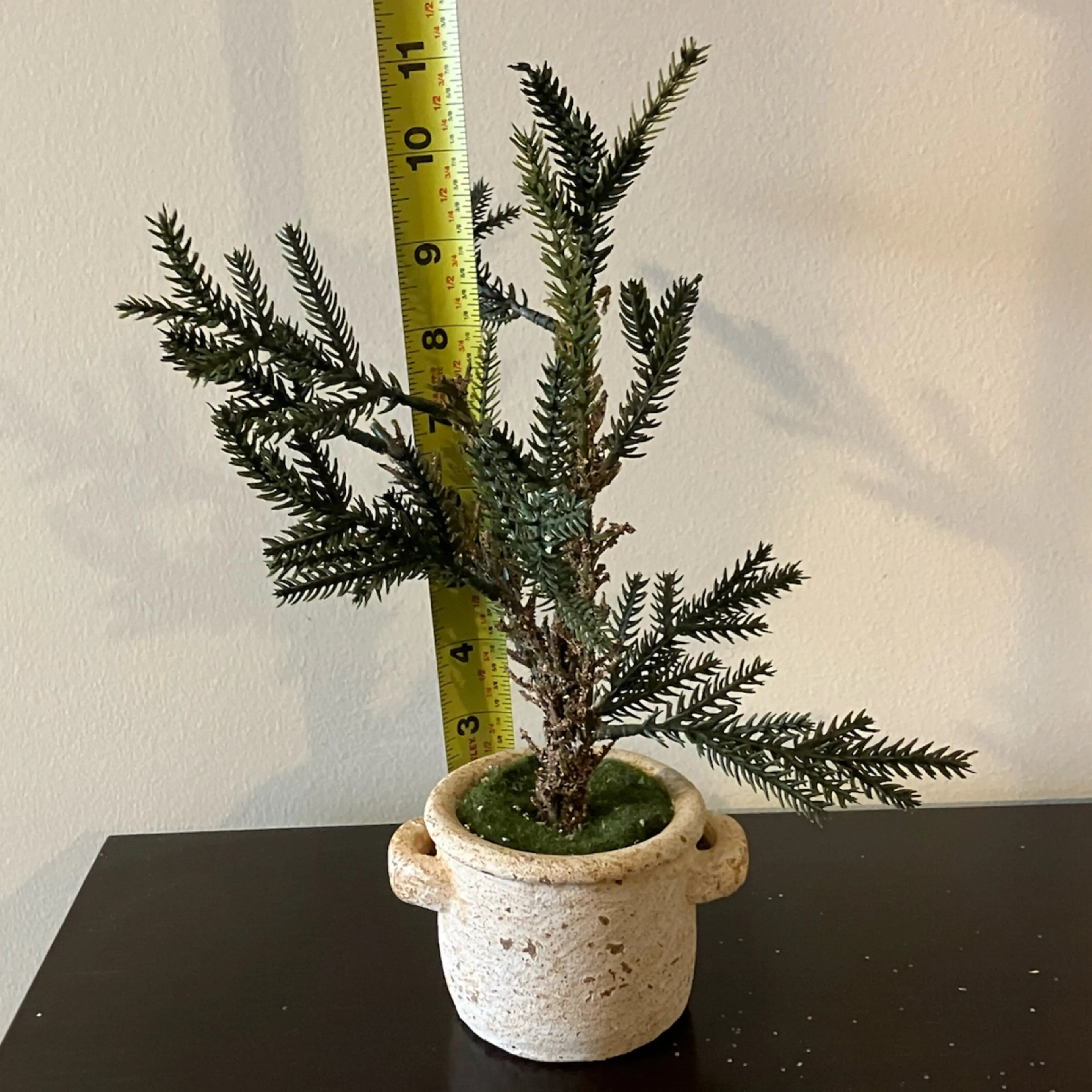 Image 2 of 3