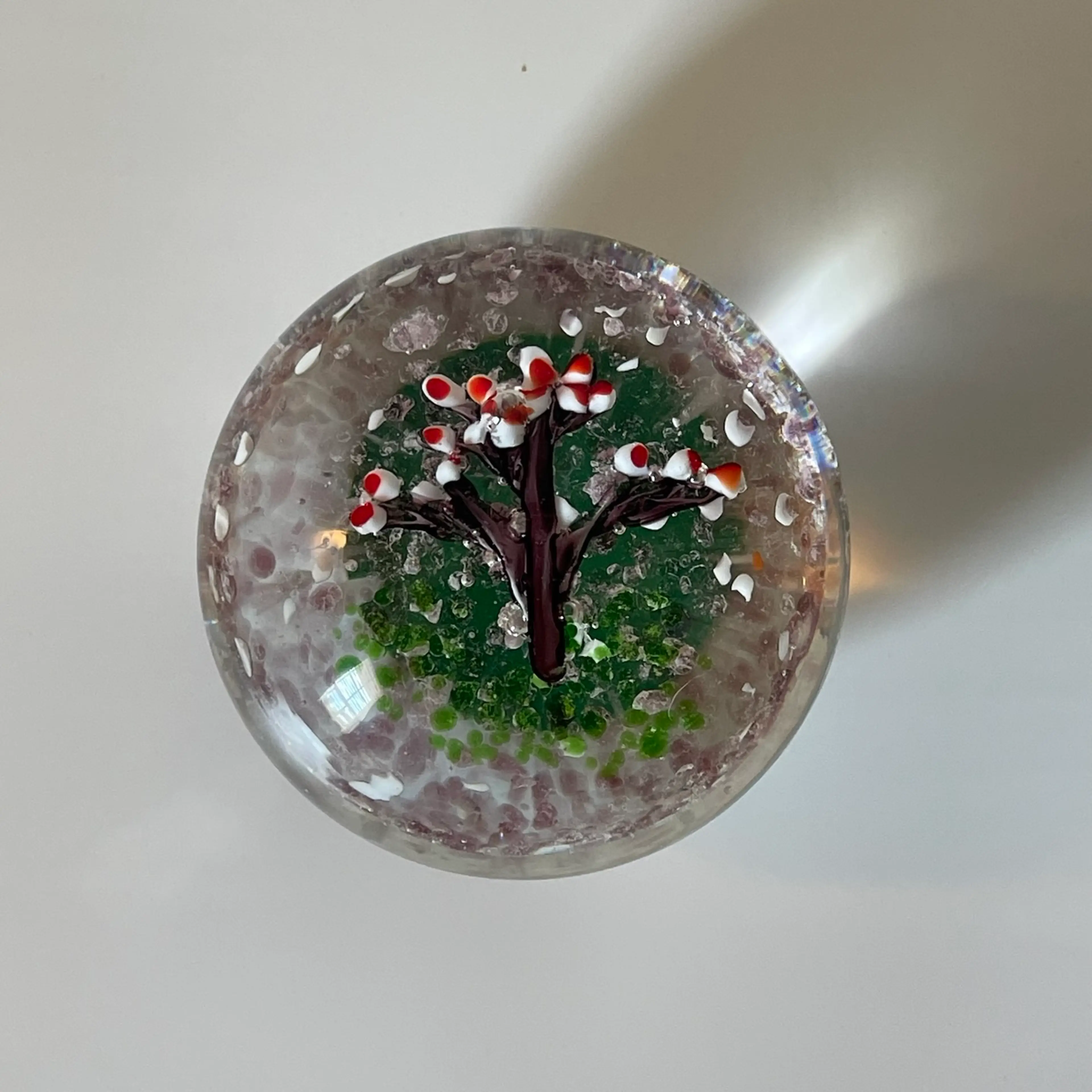 Image 2 of 10